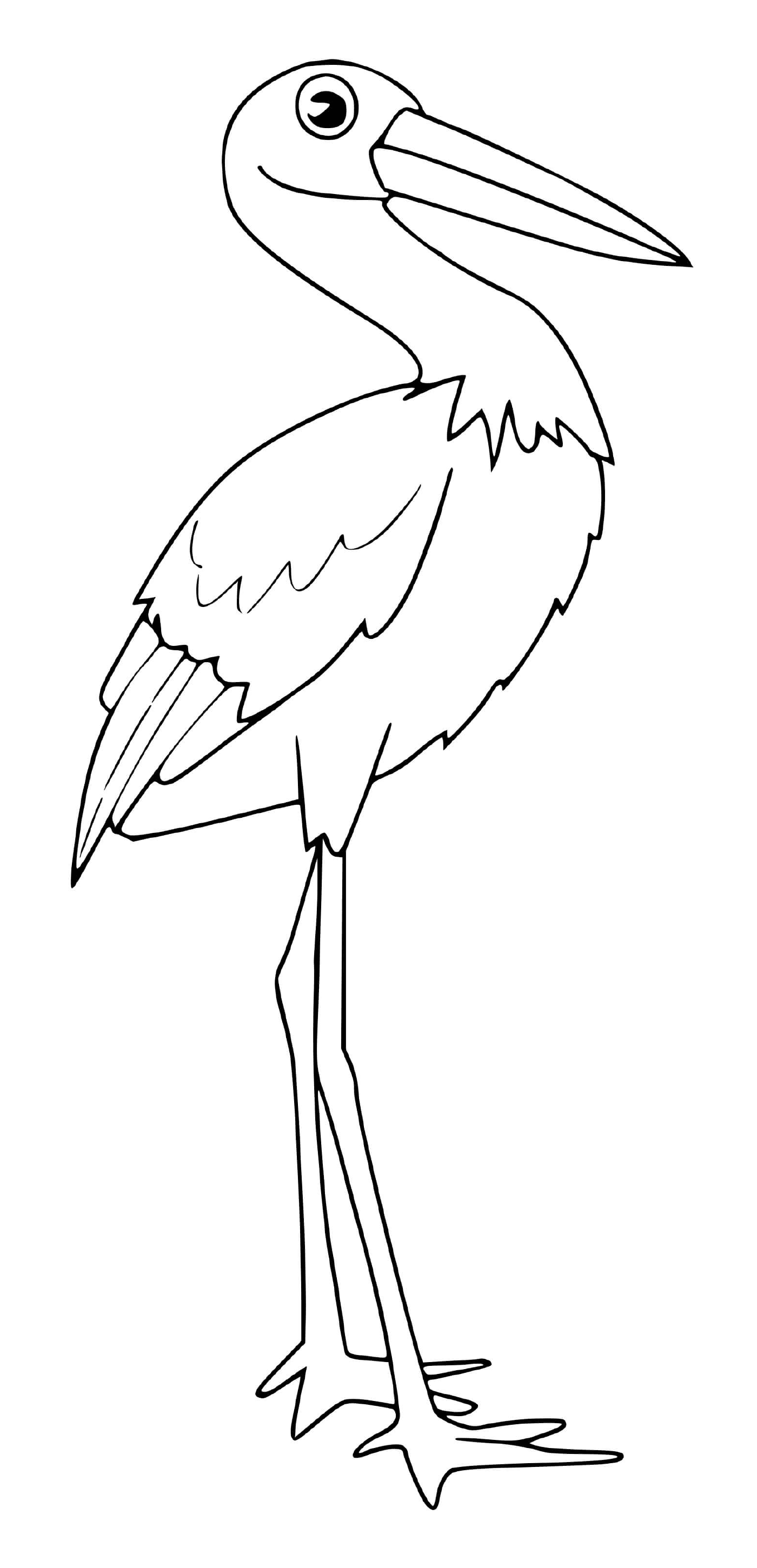  stork 