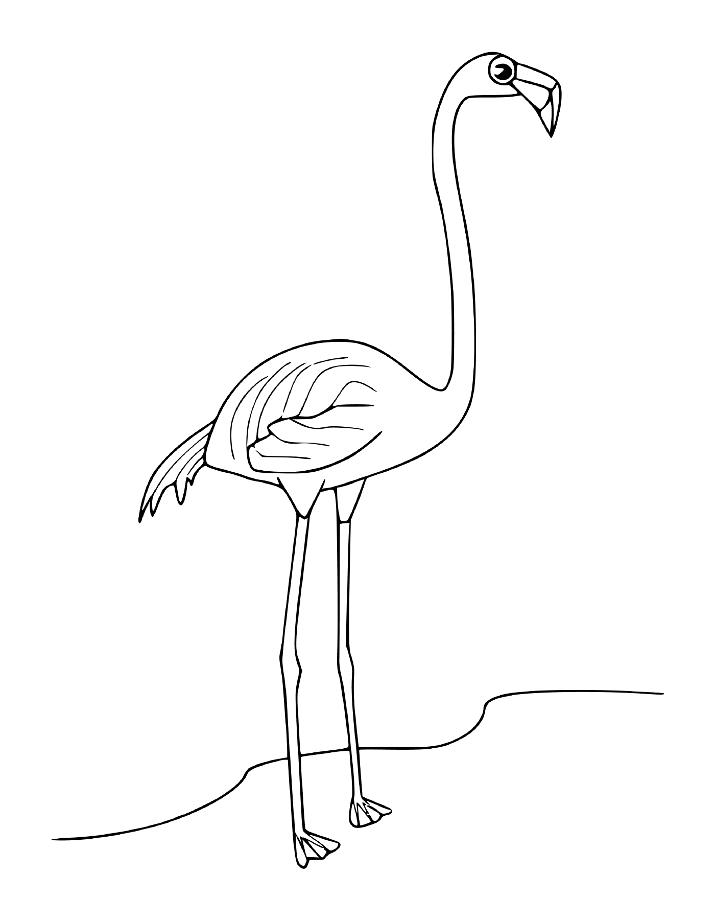  Flamingo Rose im Wasser stehend 