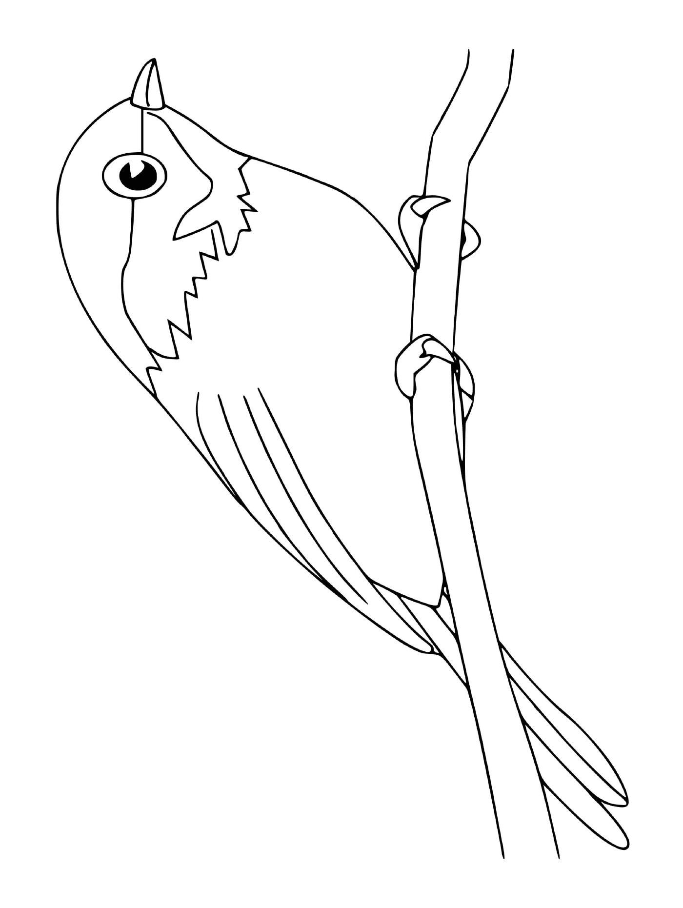  uccello su un ramo 