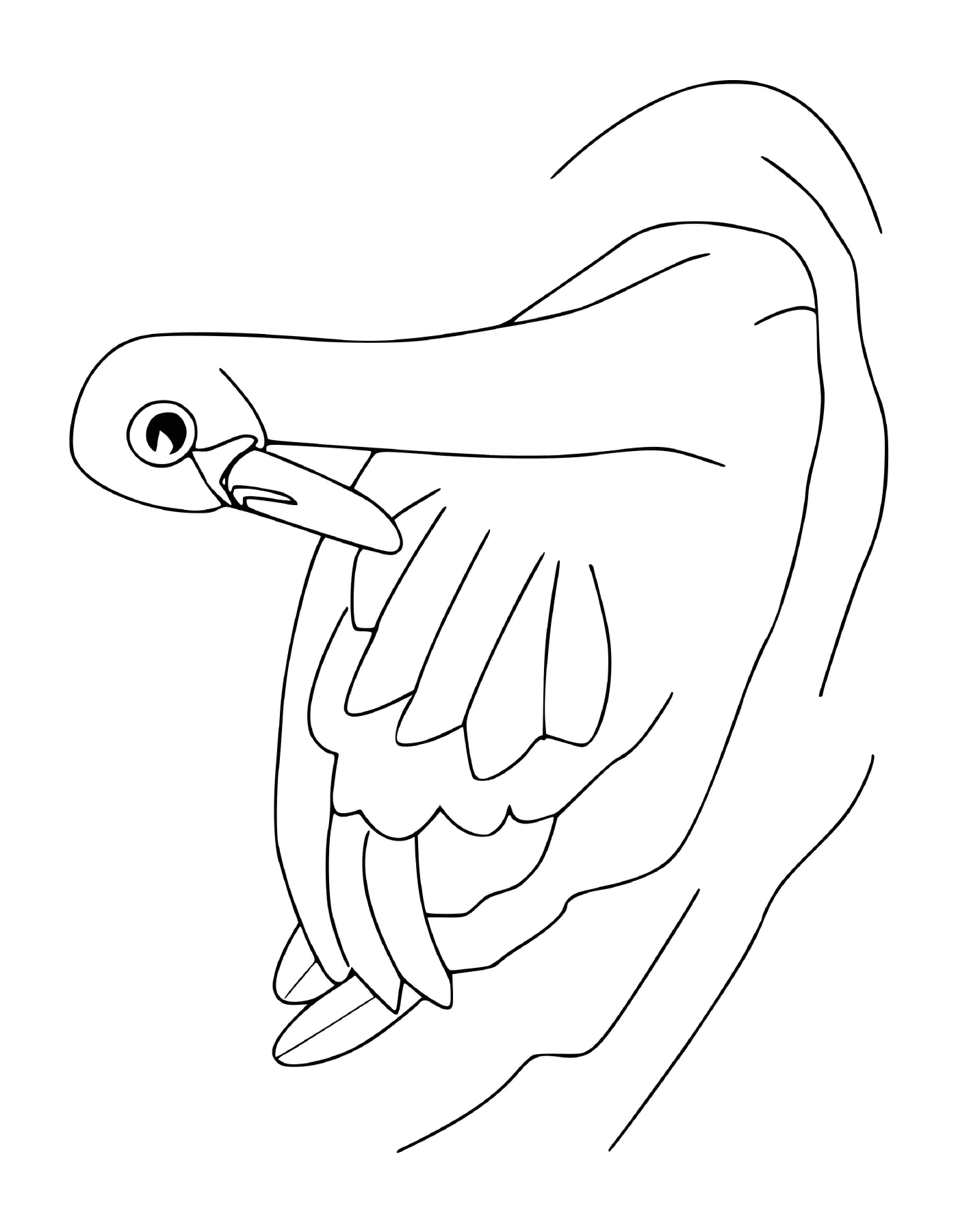  Cisne con alas expandidas 