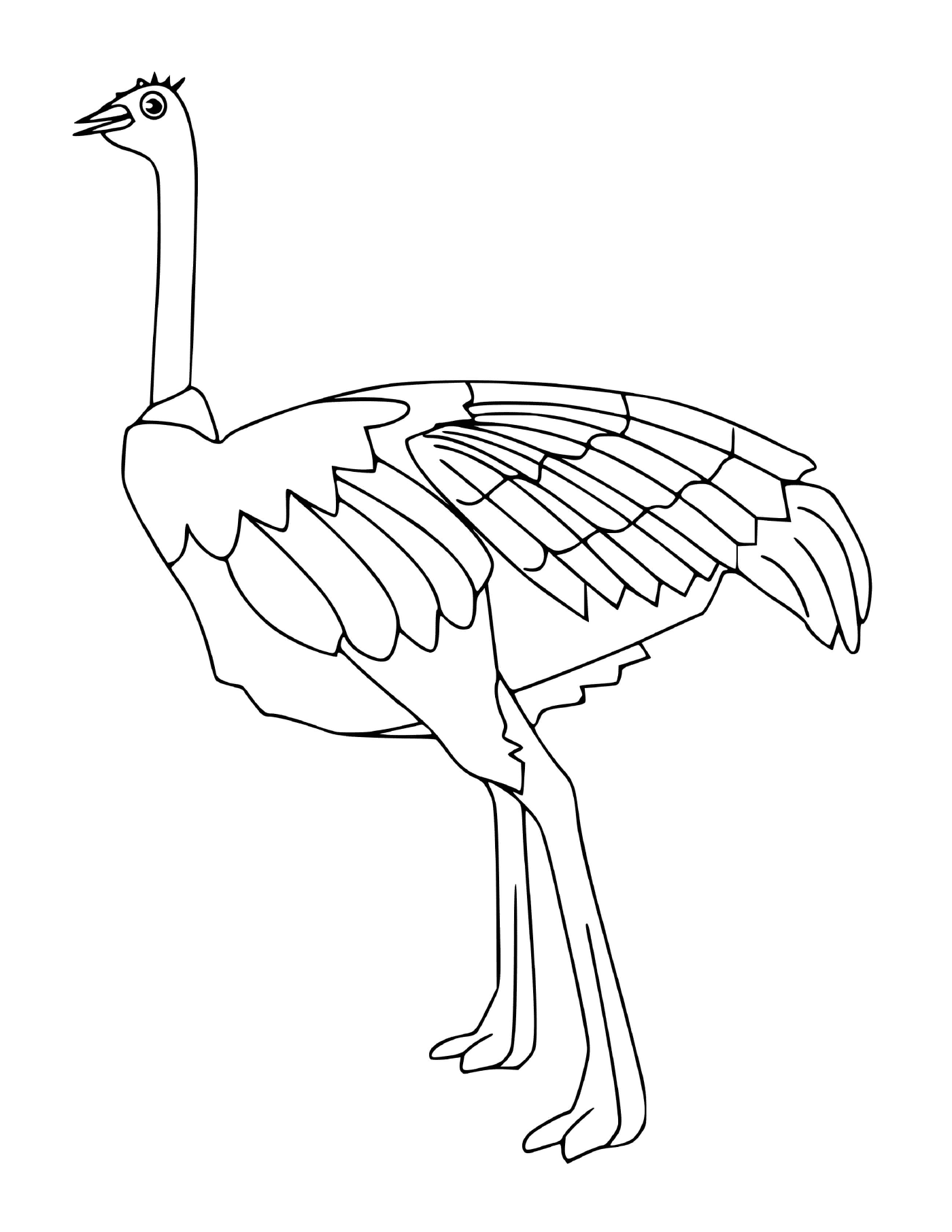  avestruces 