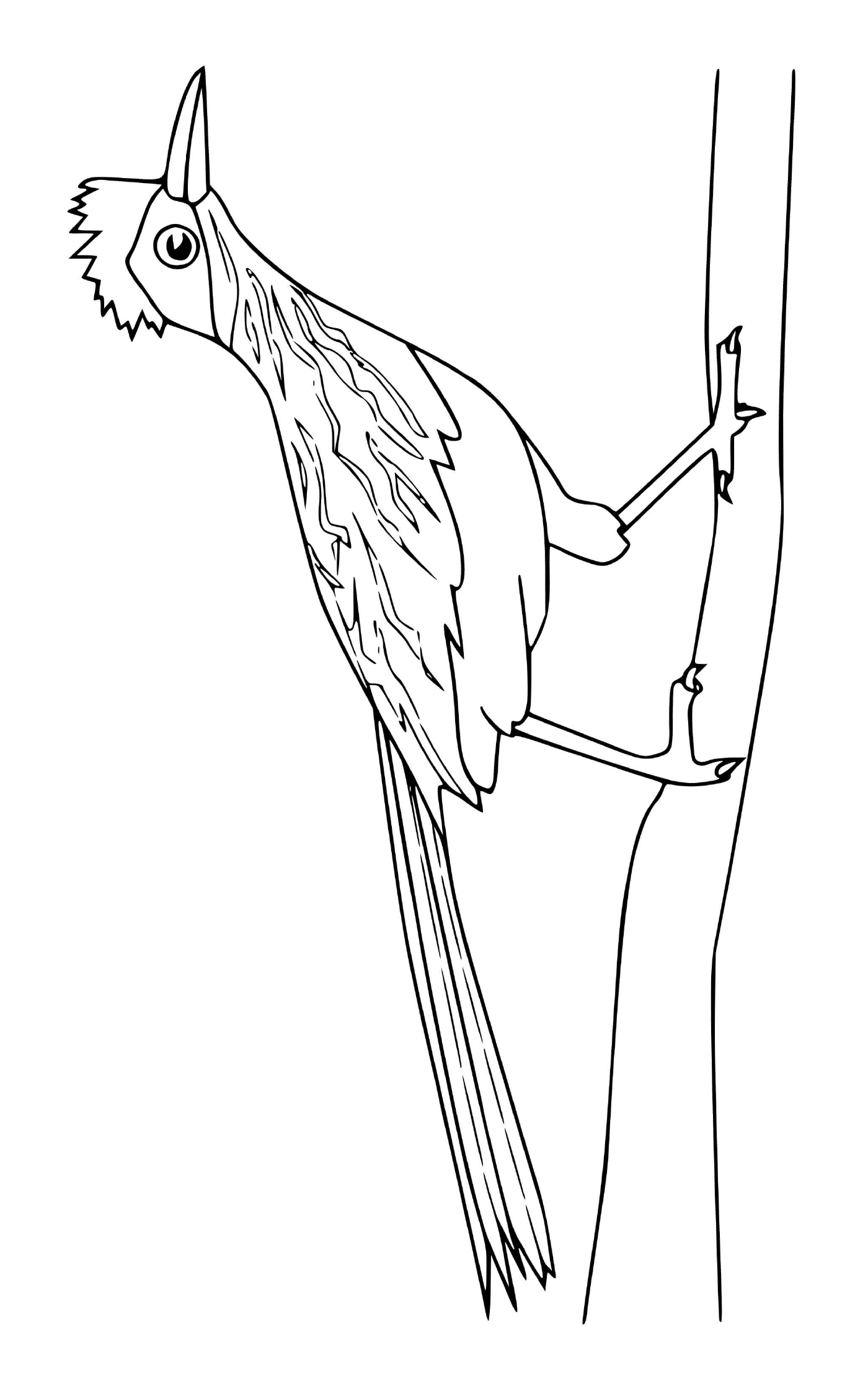  uccello arroccato su un ramo d'albero 
