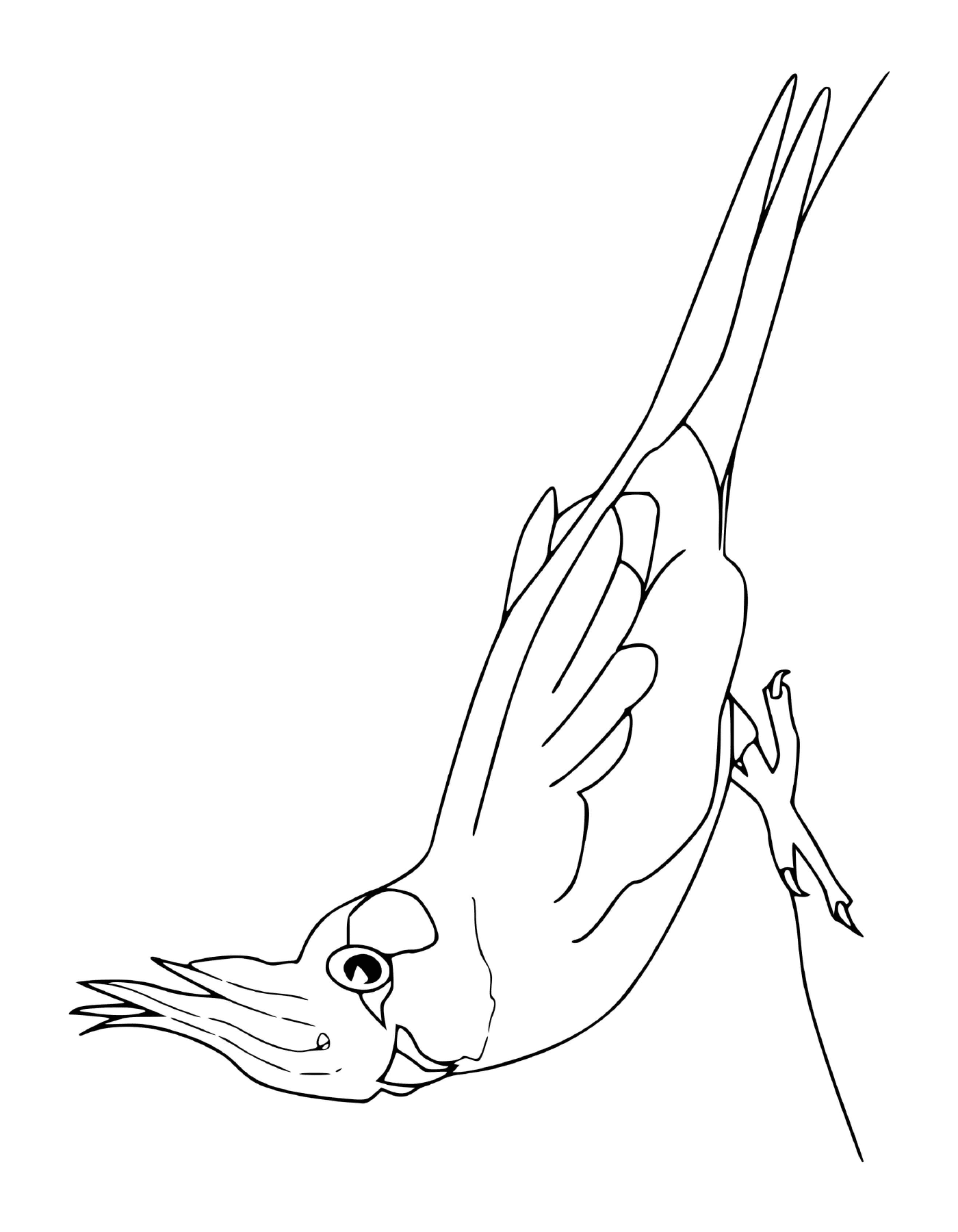  bird extending its wings 