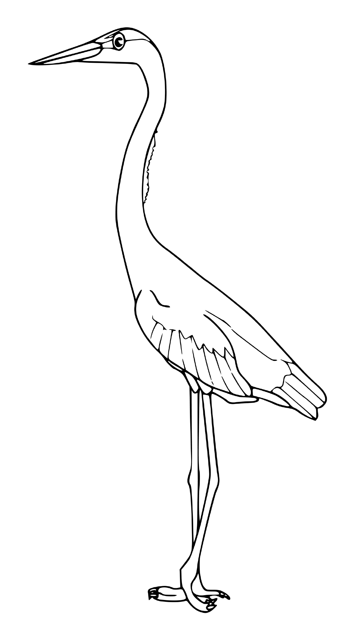  large blue heron standing on a paw 