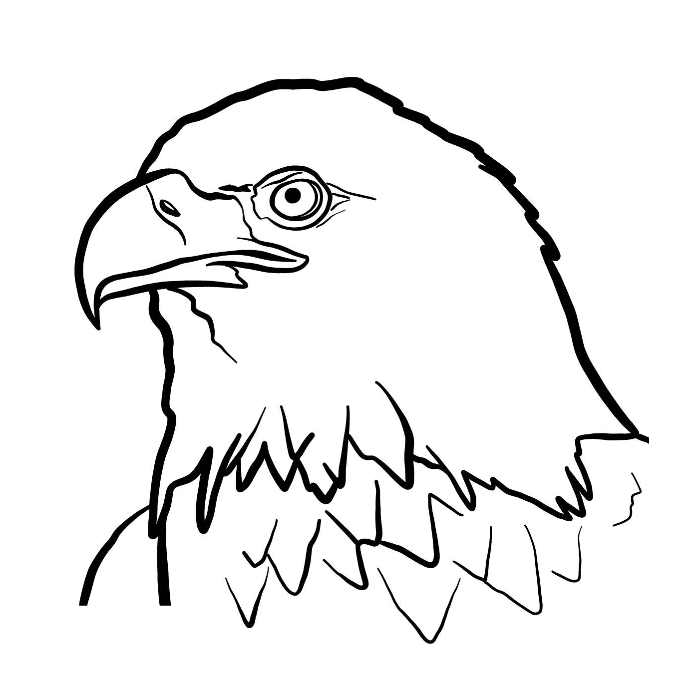 Águila real 