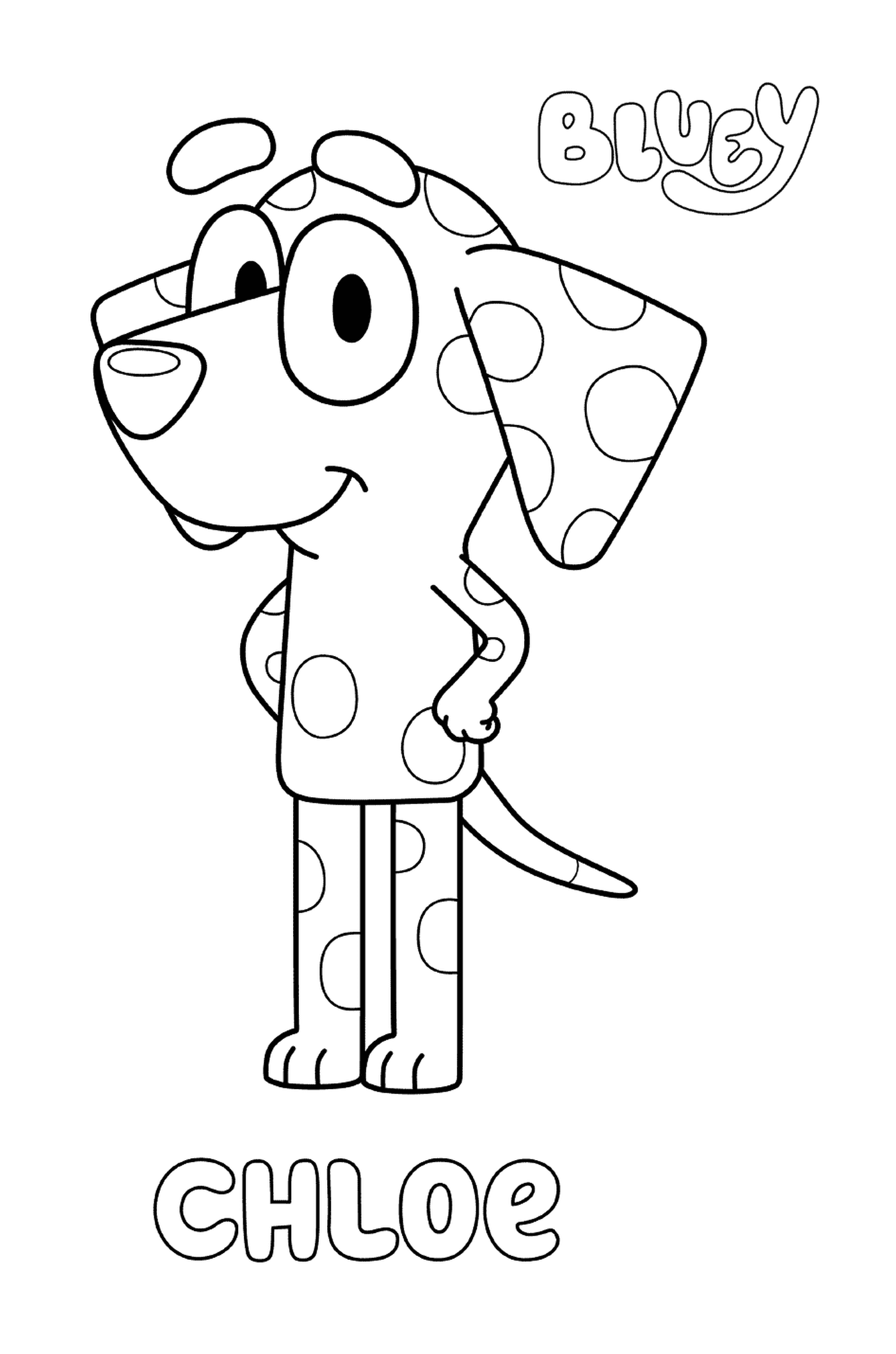  Ein gefleckter Hund namens Dalmatiner Chloe 
