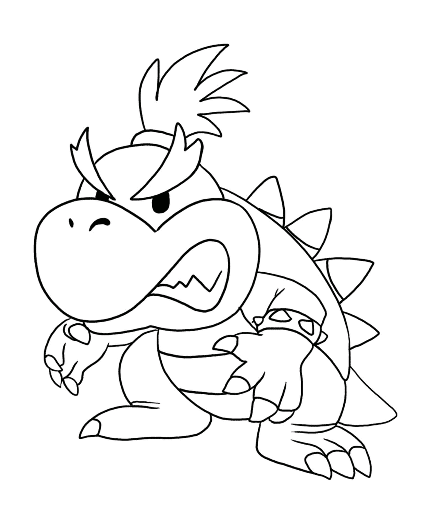  Bowser Jr. when he was a kid 