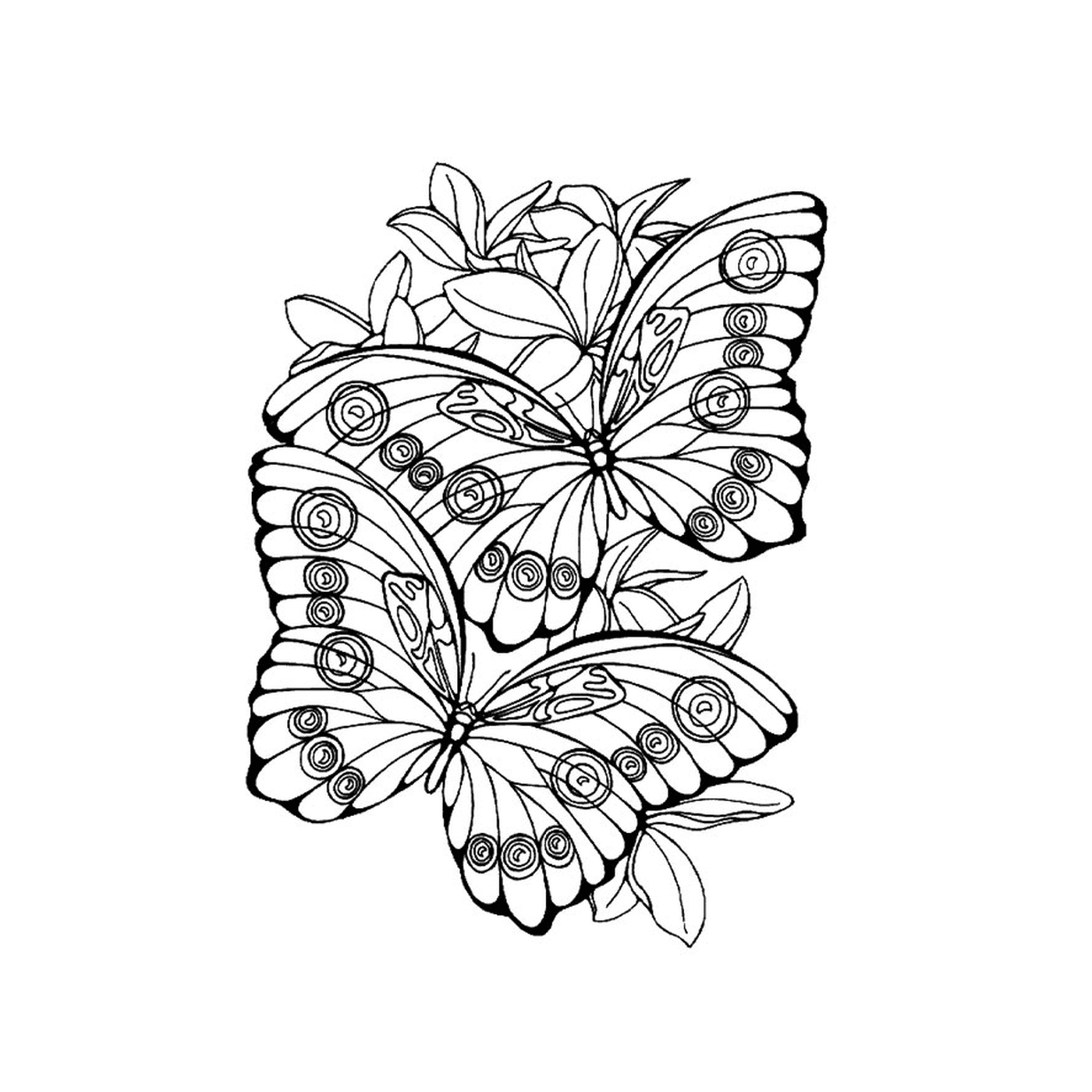  mariposa cebra en la rama 