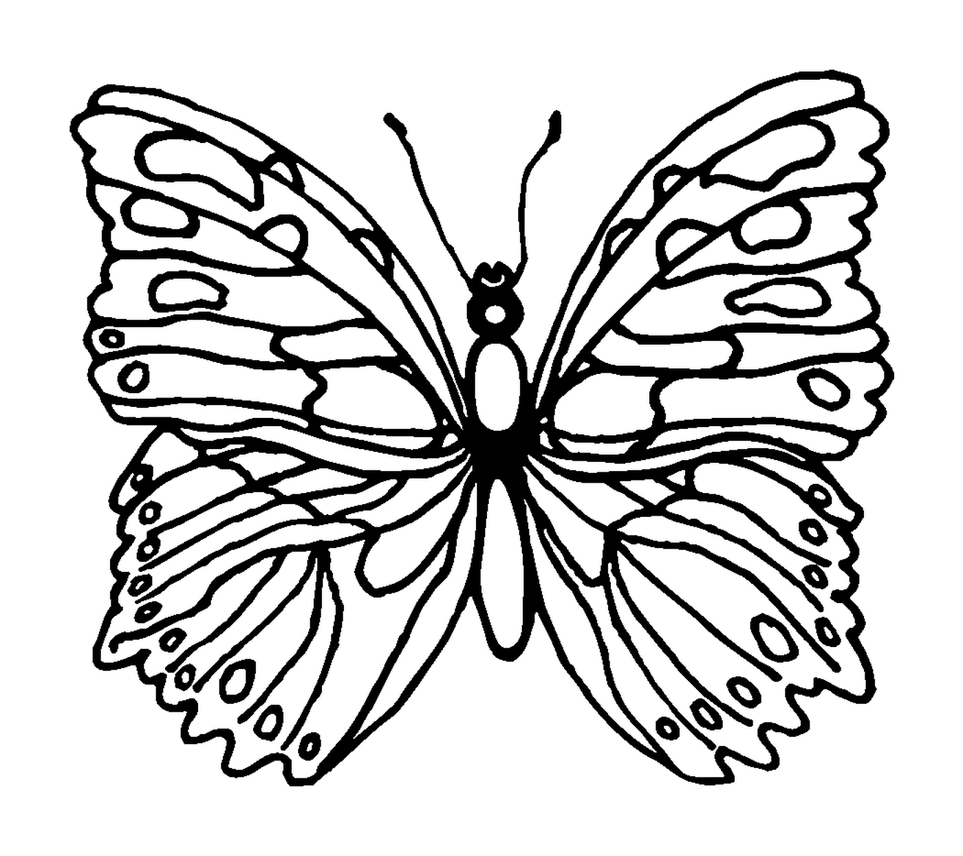  хрупкая и изящная бабочка 