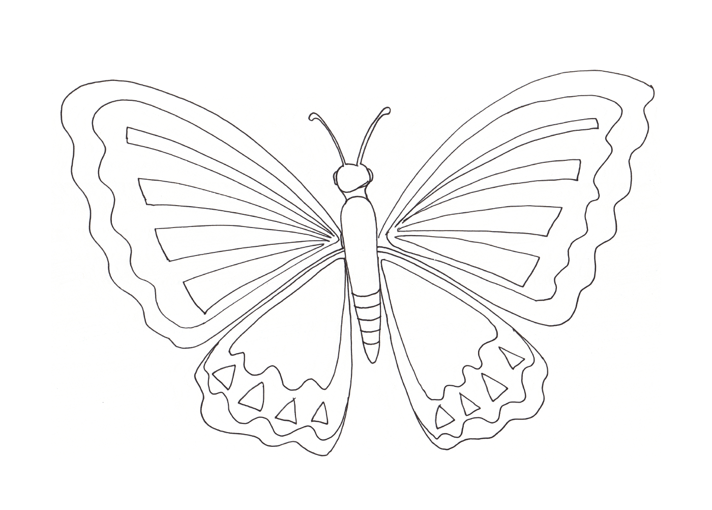  Mariposa parpadeando con gracia 