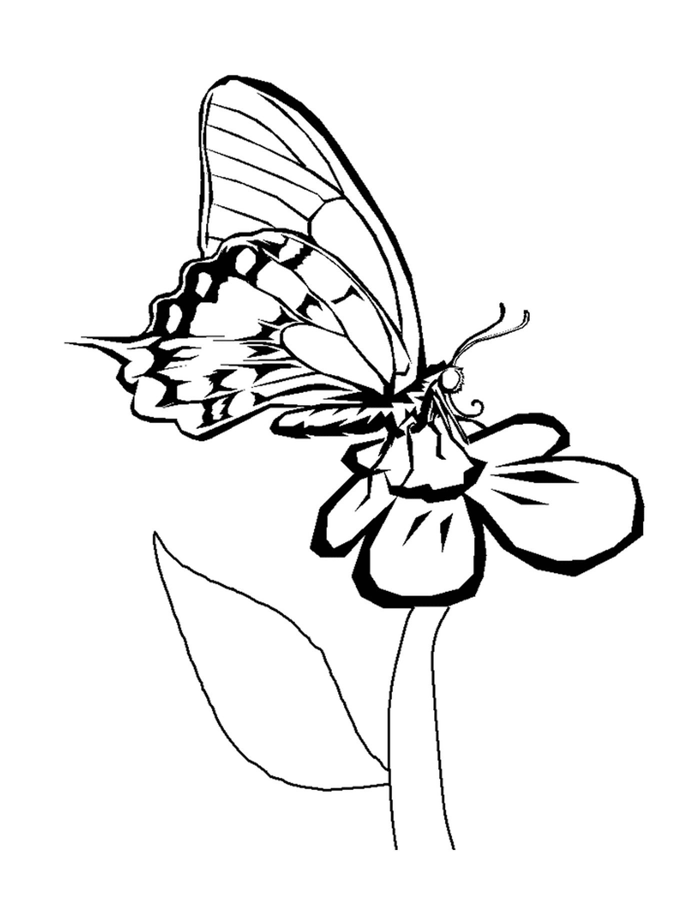  mariposa colocada en flor 