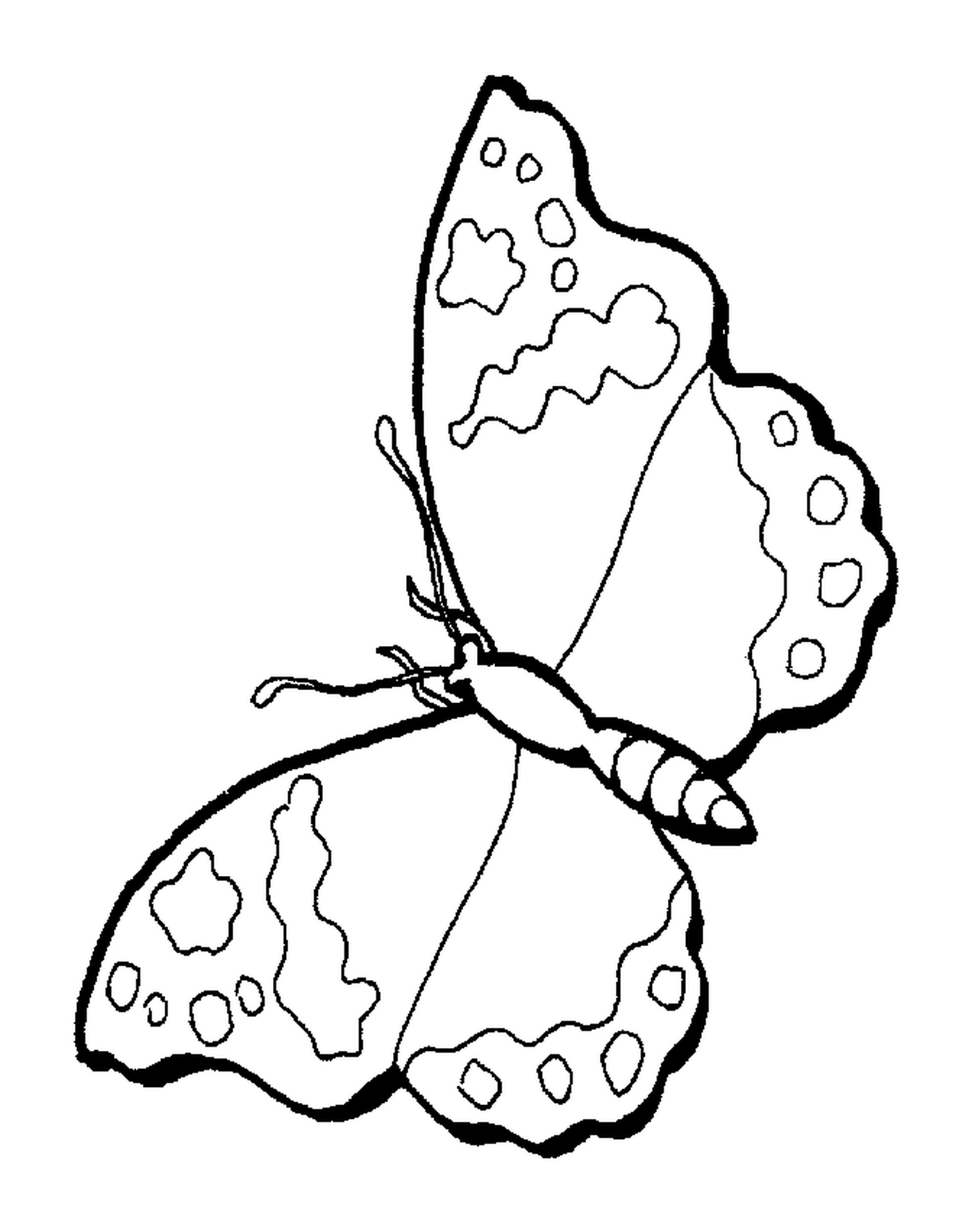  mariposa con alas ligeras 