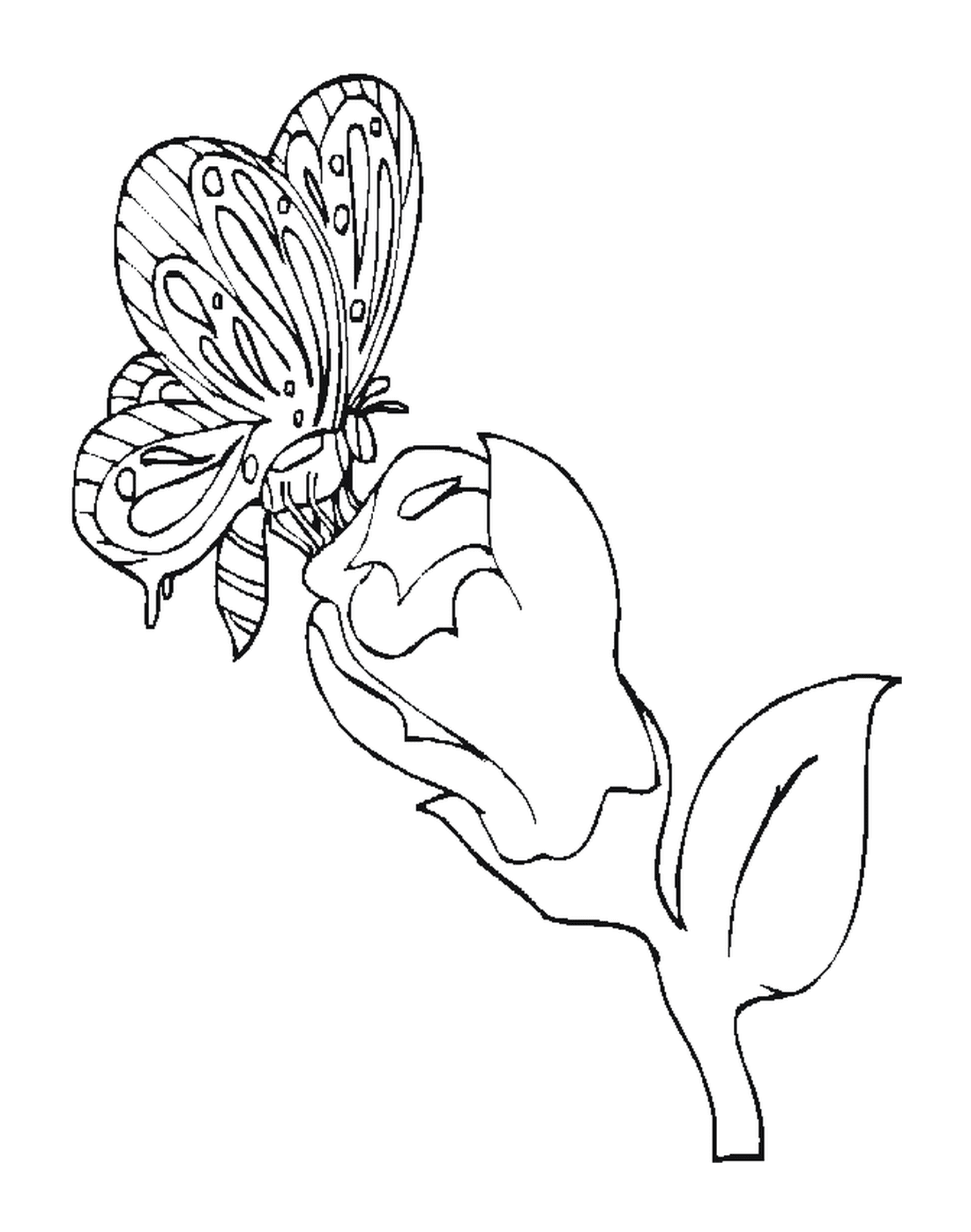  Blume von Schmetterling verziert 