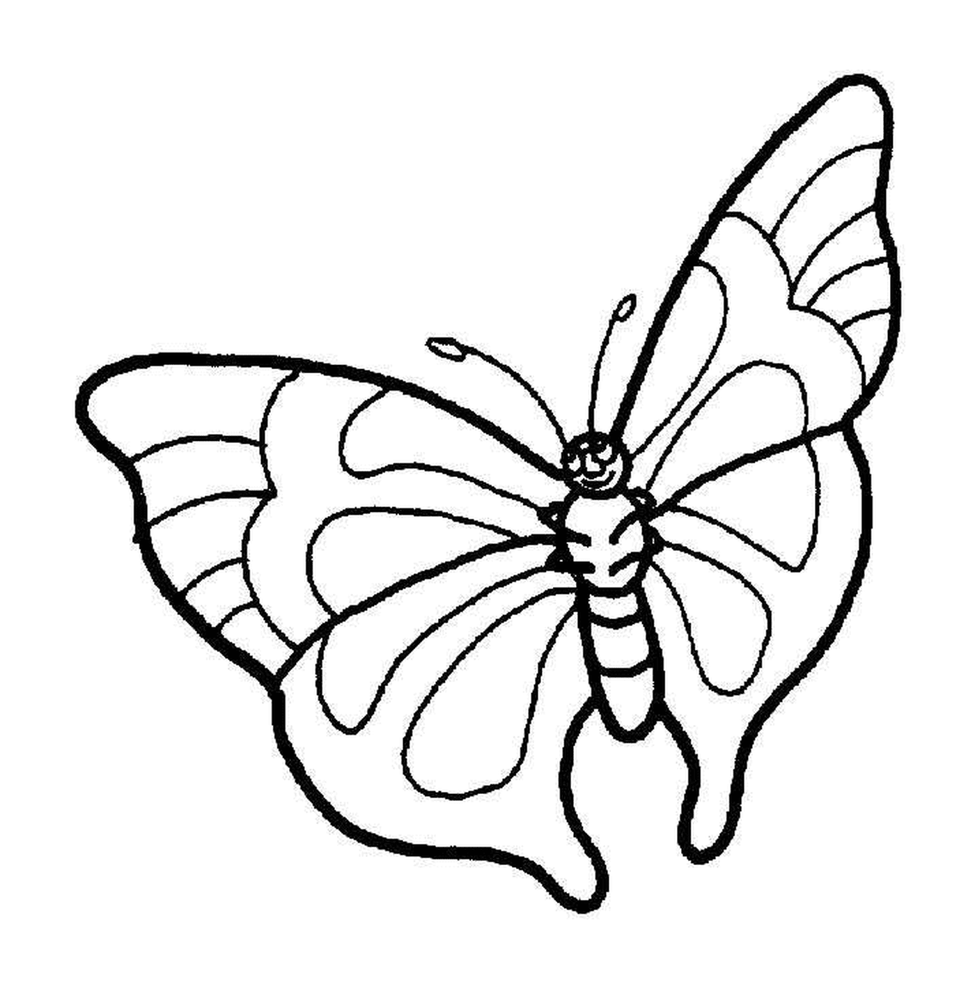  Mariposa con delicadas alas 