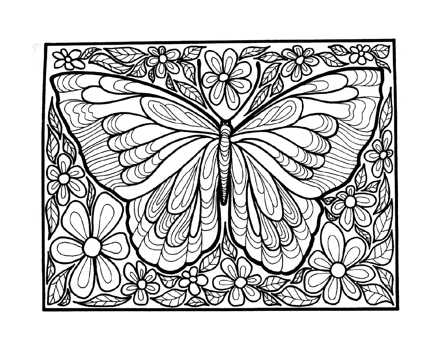  Взрослая бабочка с крыльями 