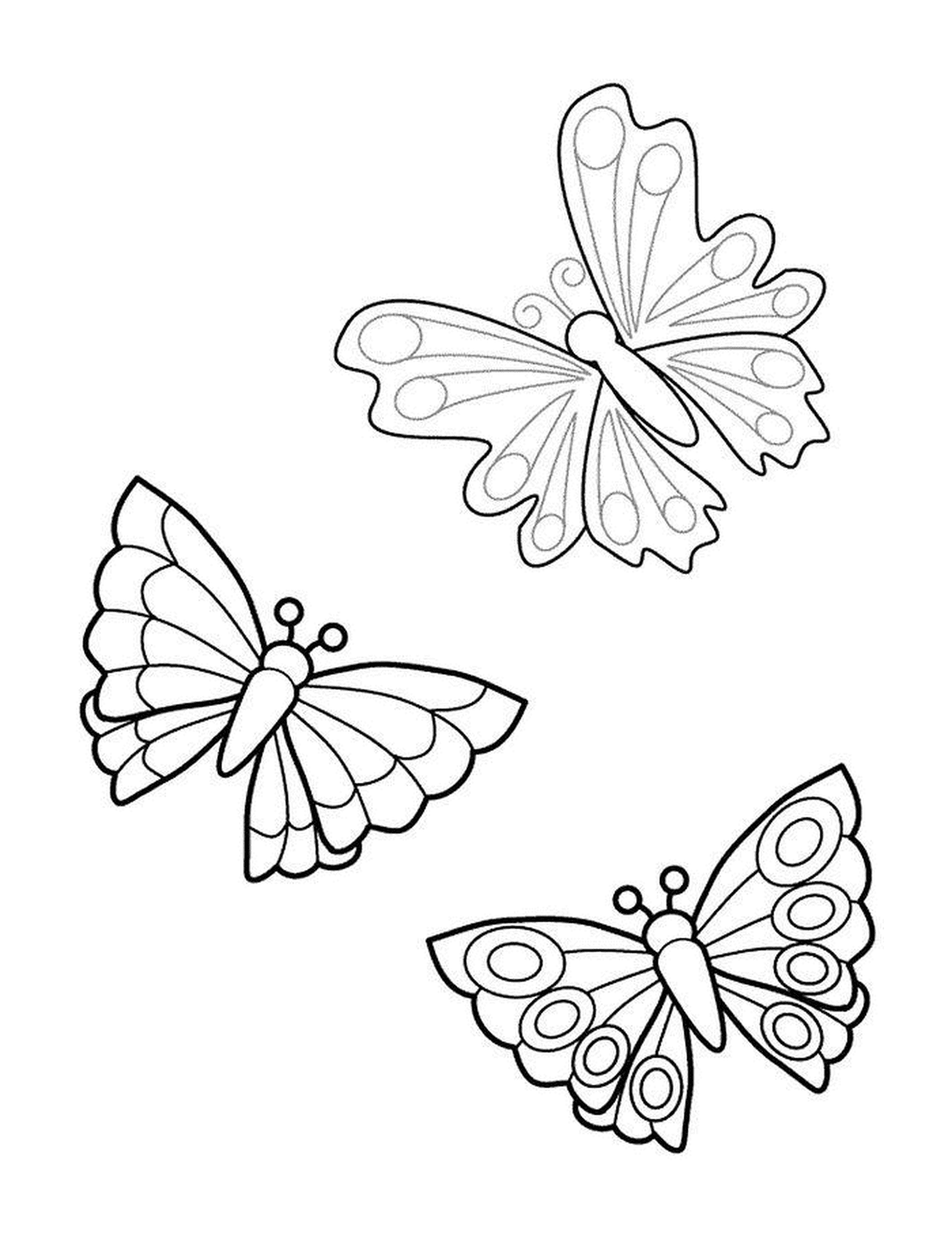  trio de mariposas voladoras 