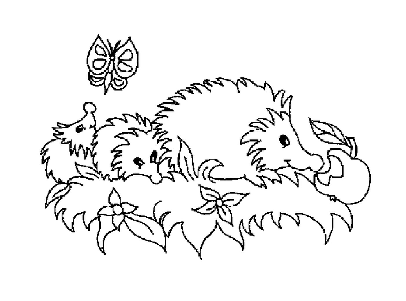  two hedgehogs and butterfly 