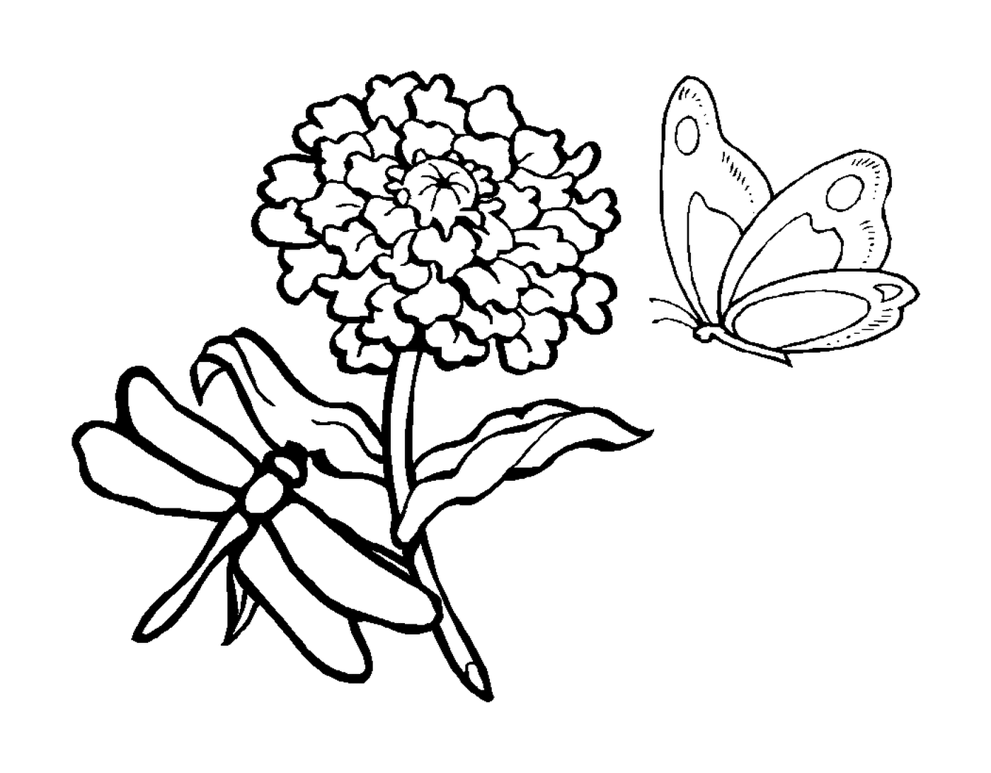  Стрекоза и бабочка рядом 