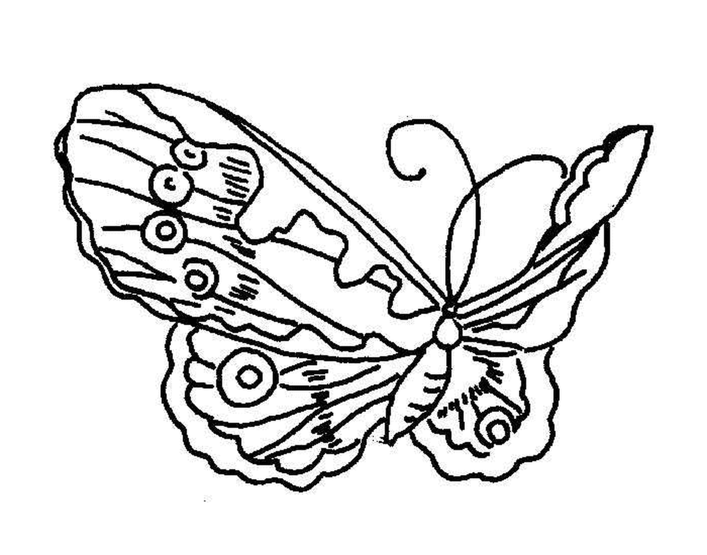  elegante y delicada mariposa 