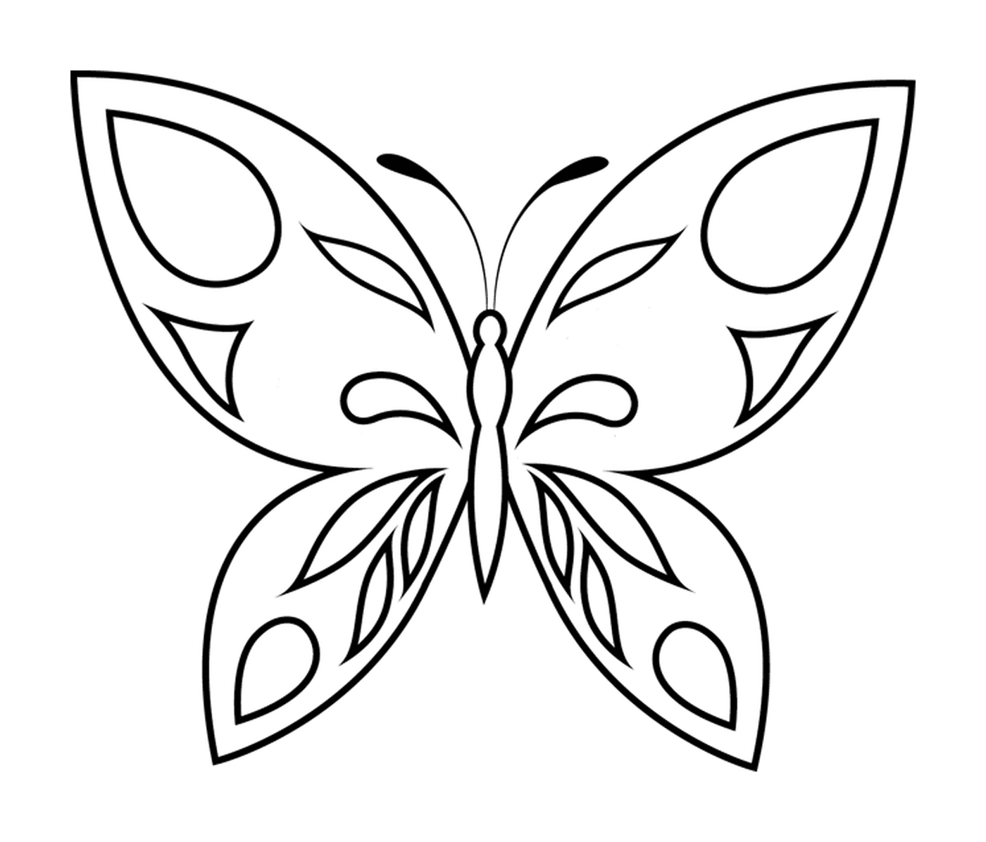  Деликатес бабочек с развернутыми крыльями 
