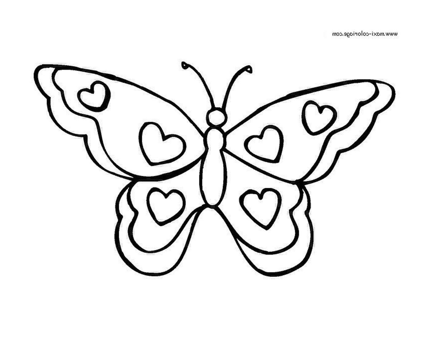  Pequeña mariposa mariposa flor 