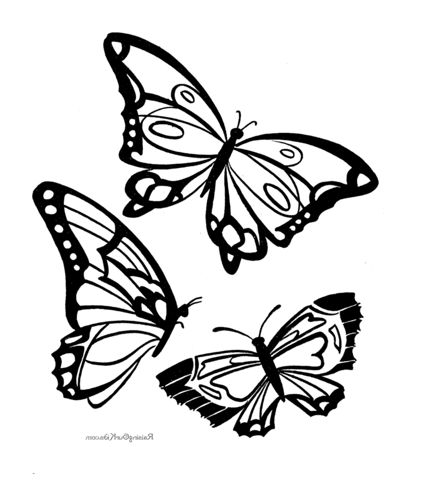 Tre disegni di farfalla in bianco e nero 