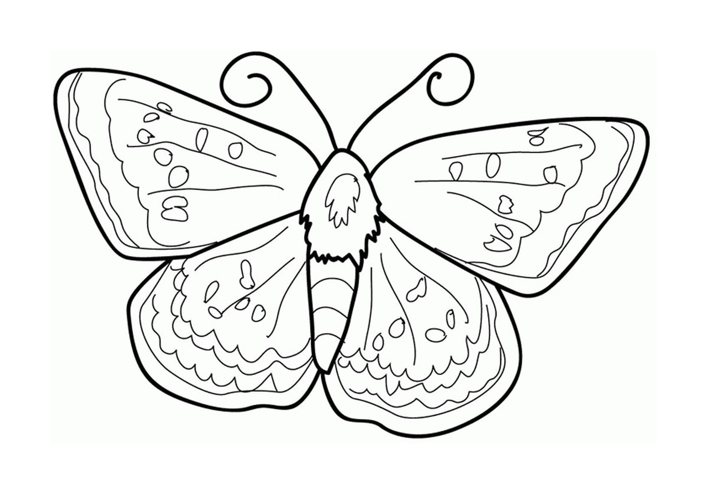 Mariposa de culo delicadamente puesta 