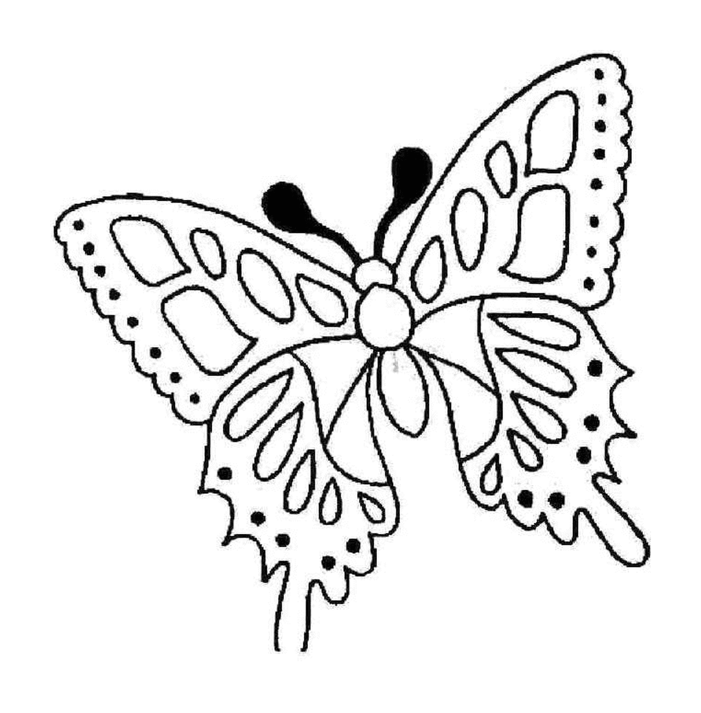  Farfalla delicata con motivi vibranti 