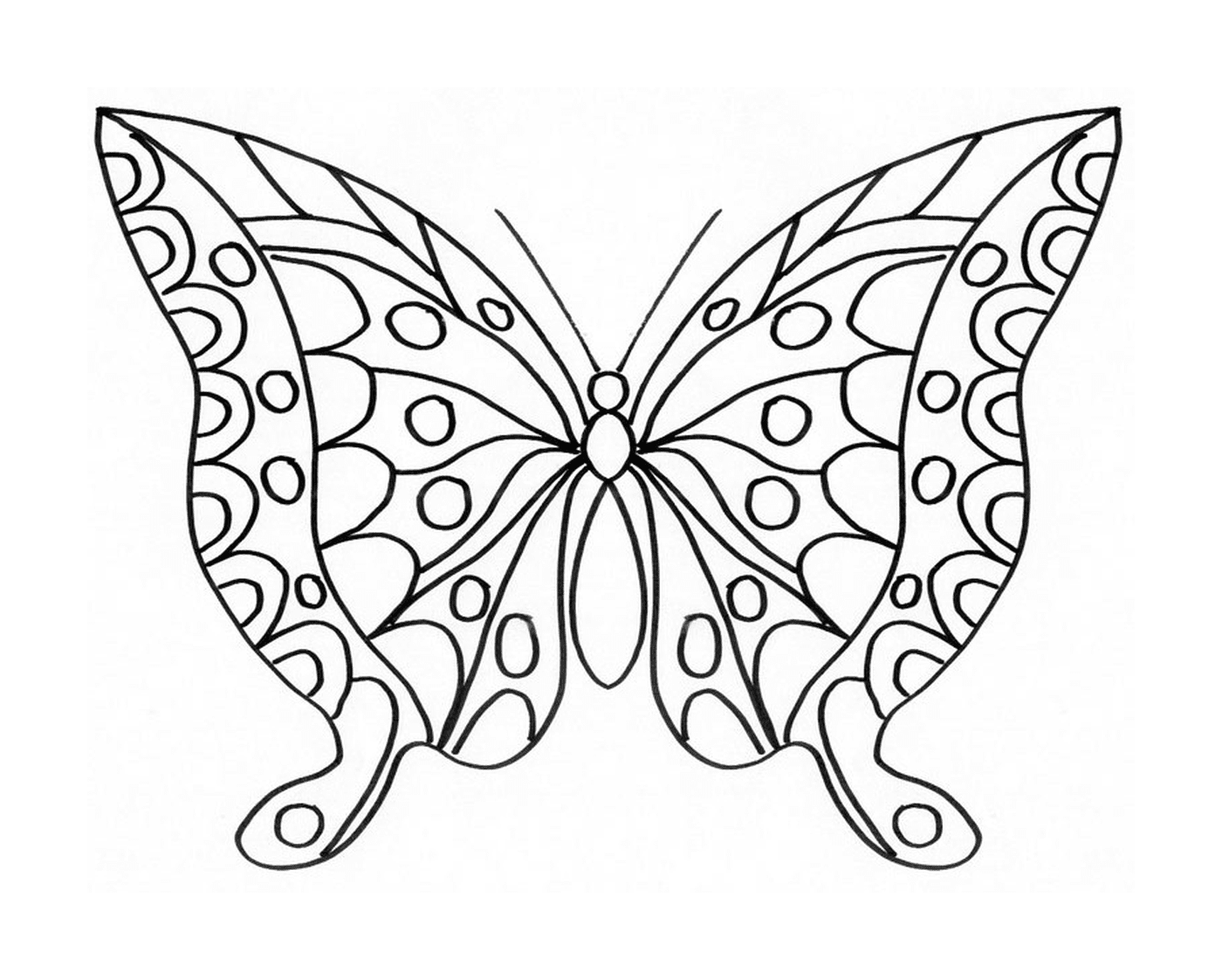  Zarter Schmetterling mit schimmernden Flügeln 