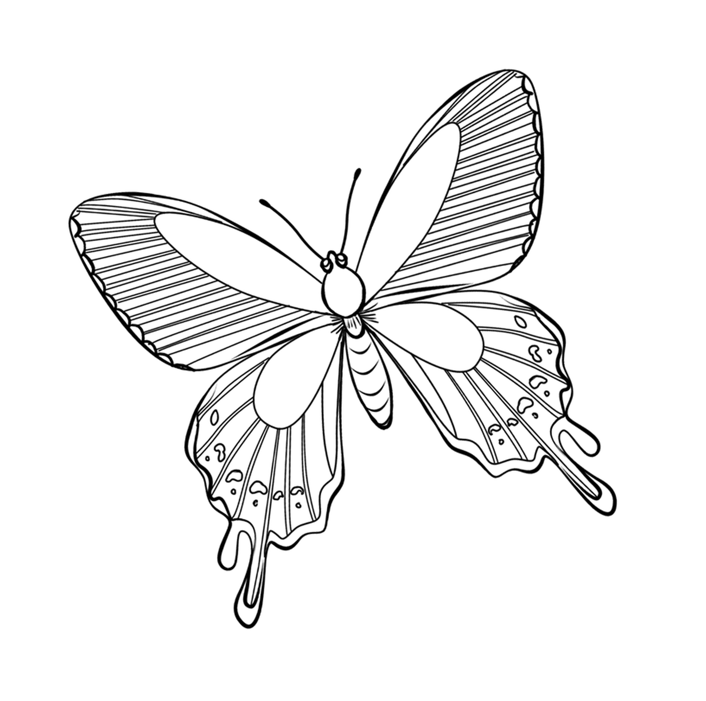  Вкусная бабочка с уникальными особенностями 