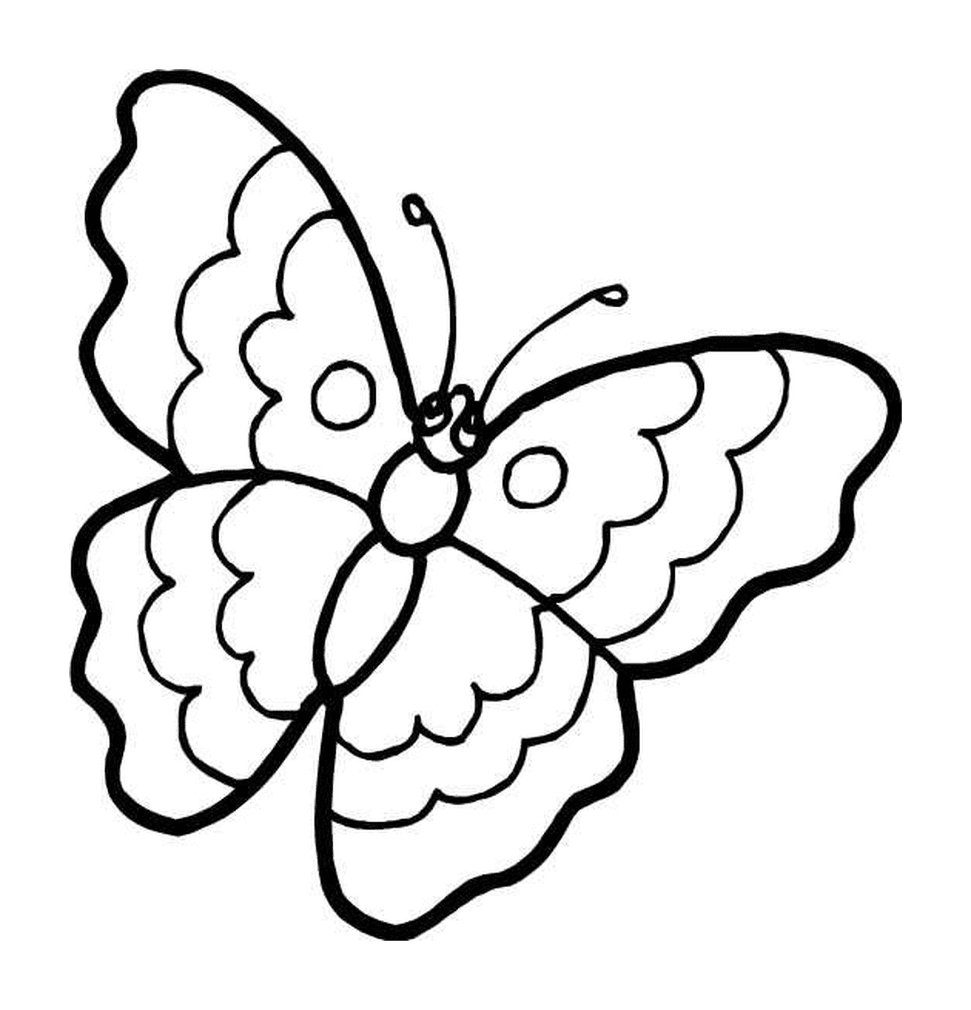 Farfalla delicata con motivi vibranti 