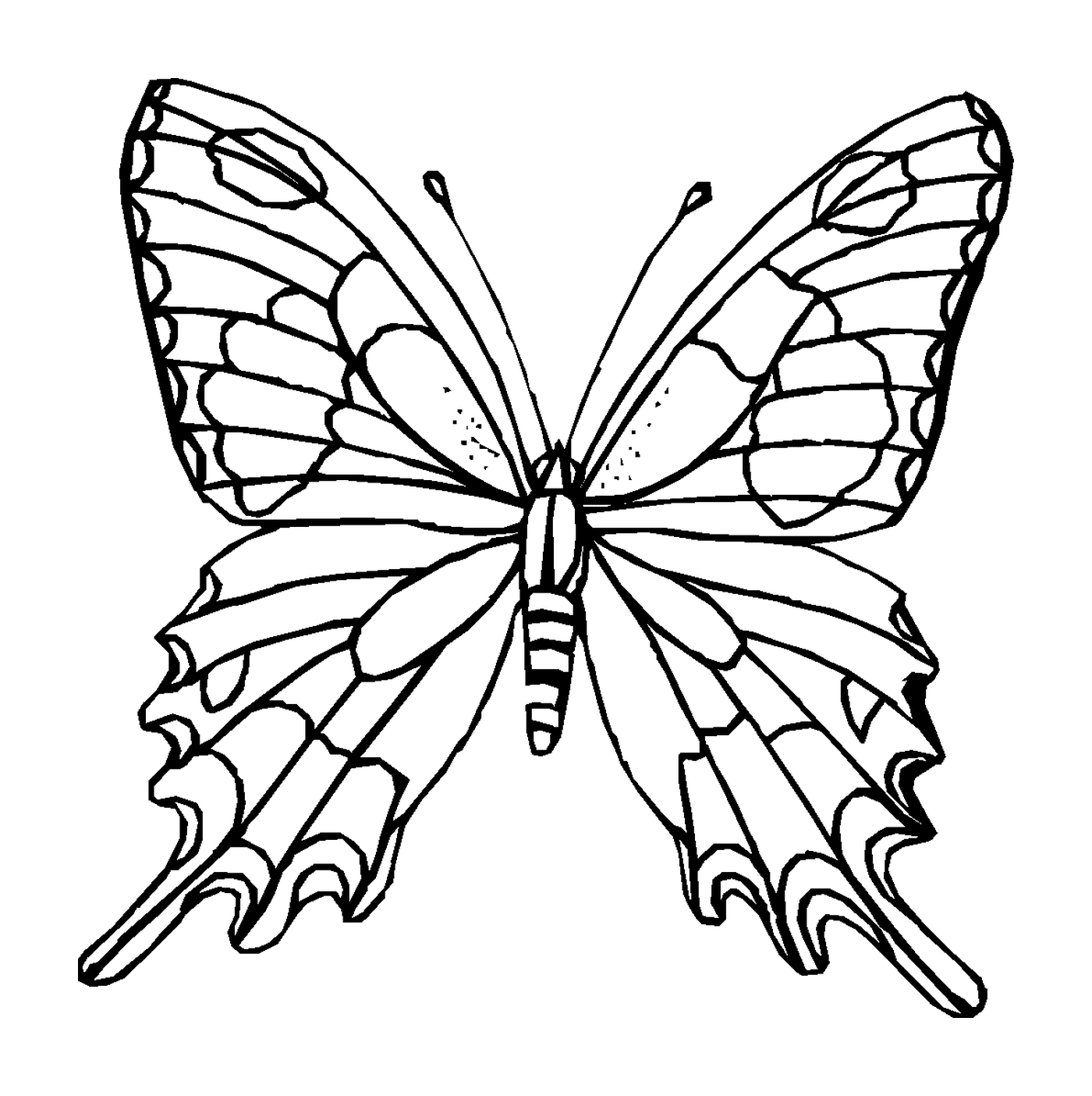  Farfalla delicata con ali traslucide 