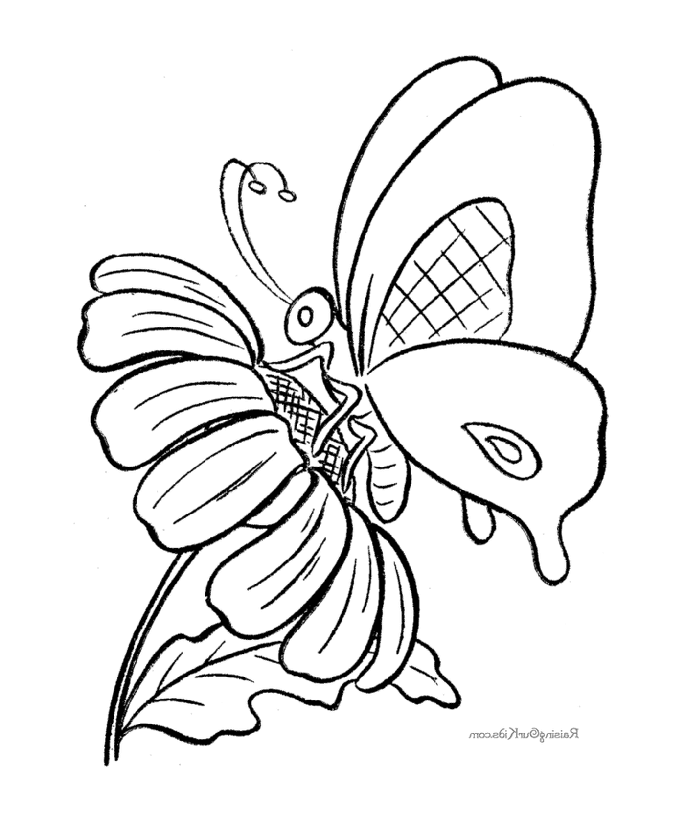  Mariposa colocada en flor 
