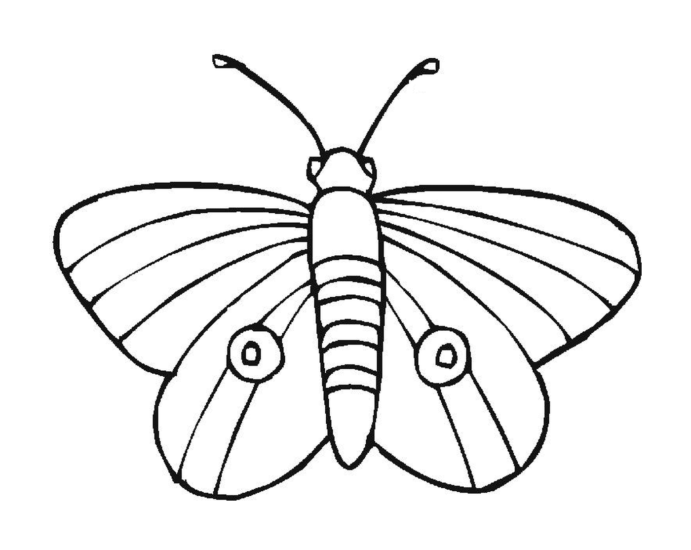  Zarter Schmetterling mit einzigartigen Mustern 