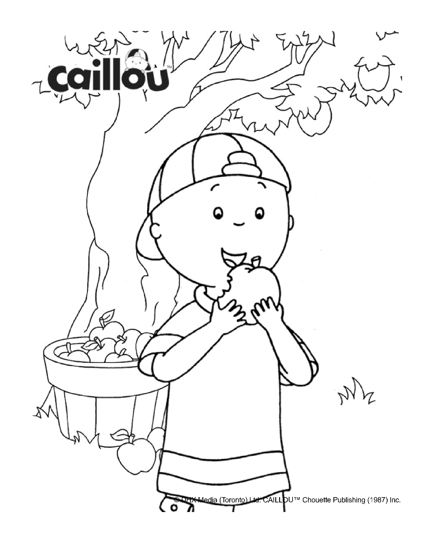  Pick apples with Caillou tasting an apple 
