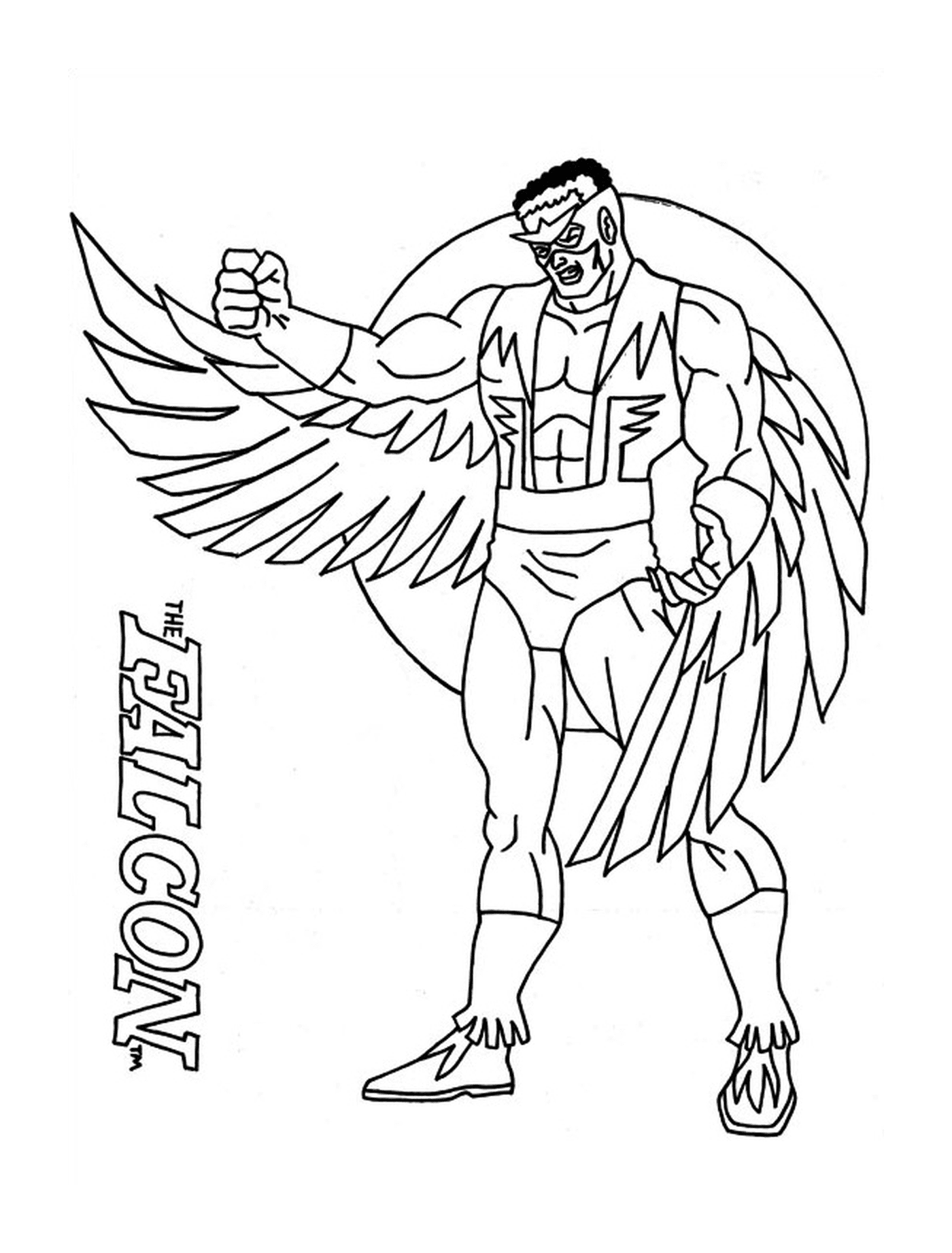  un halcón (imagen no relacionada con el Capitán América) 
