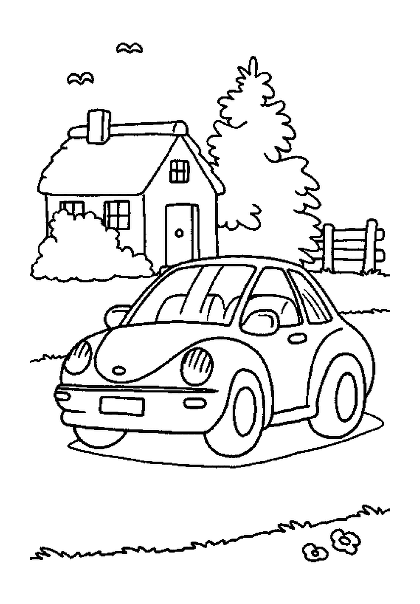  Haus mit Auto 
