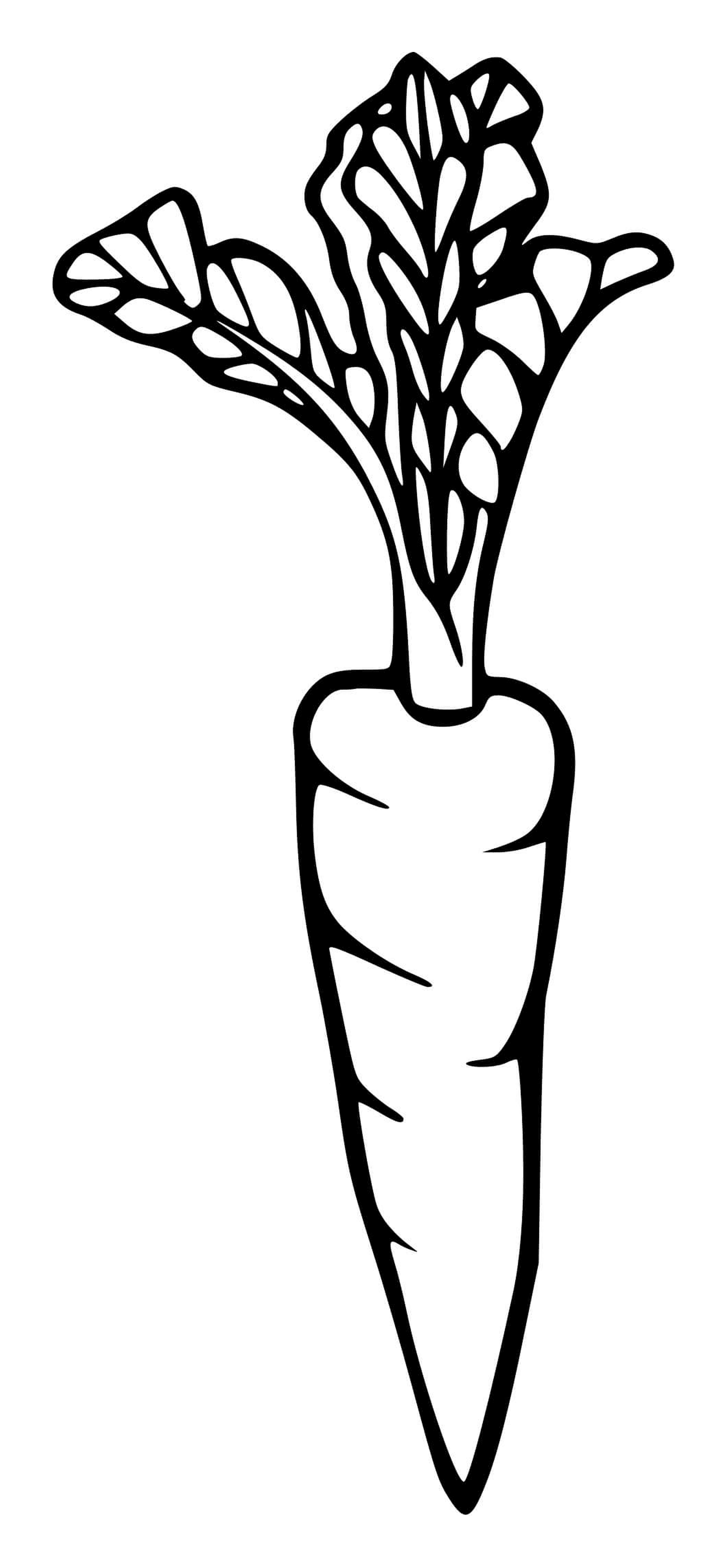  Simple carrot, a carrot 