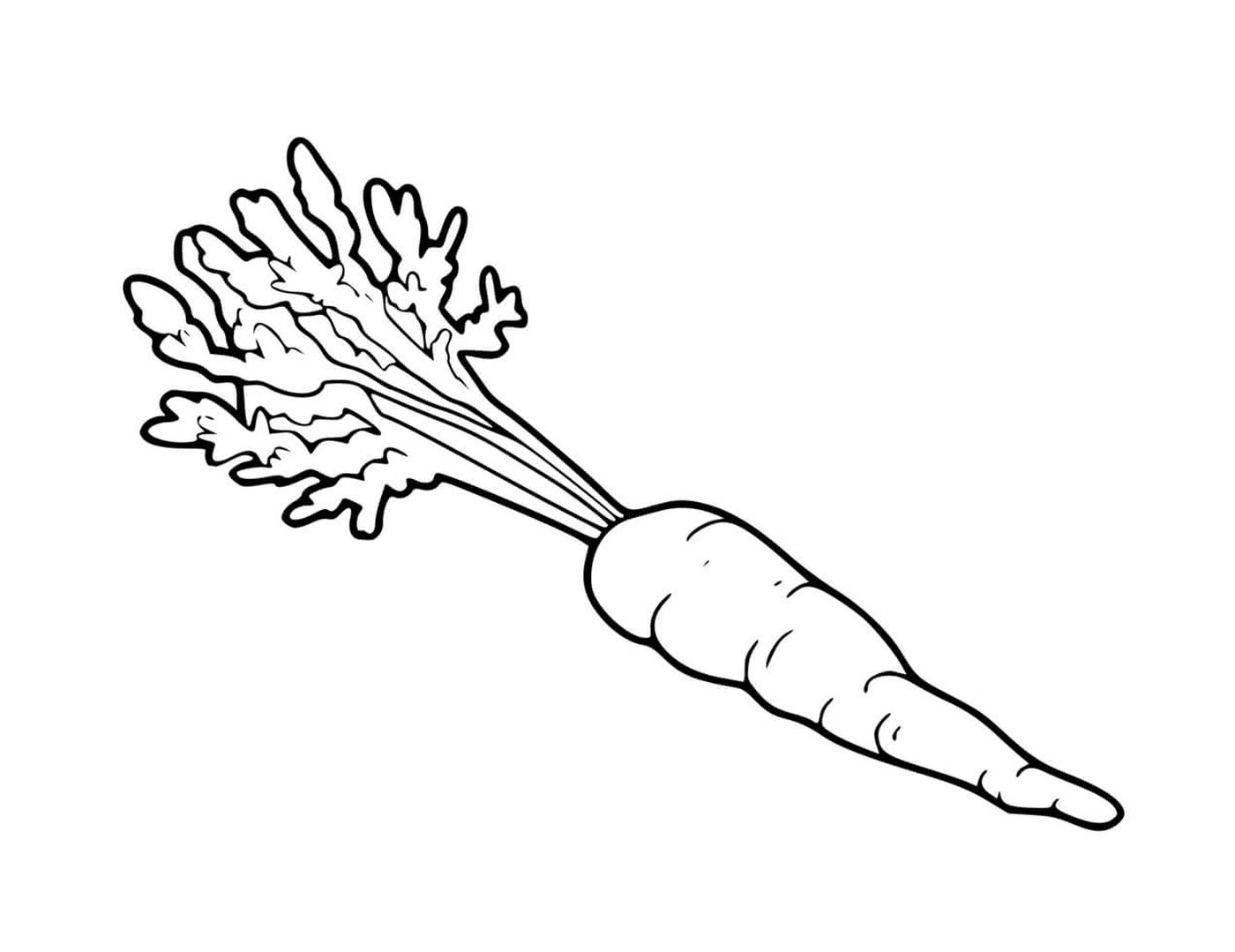  Orange carrot vegetable, a carrot with leaves 