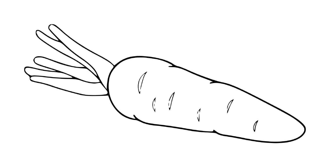  Einkarotte, eine Karotte auf weißem Hintergrund 