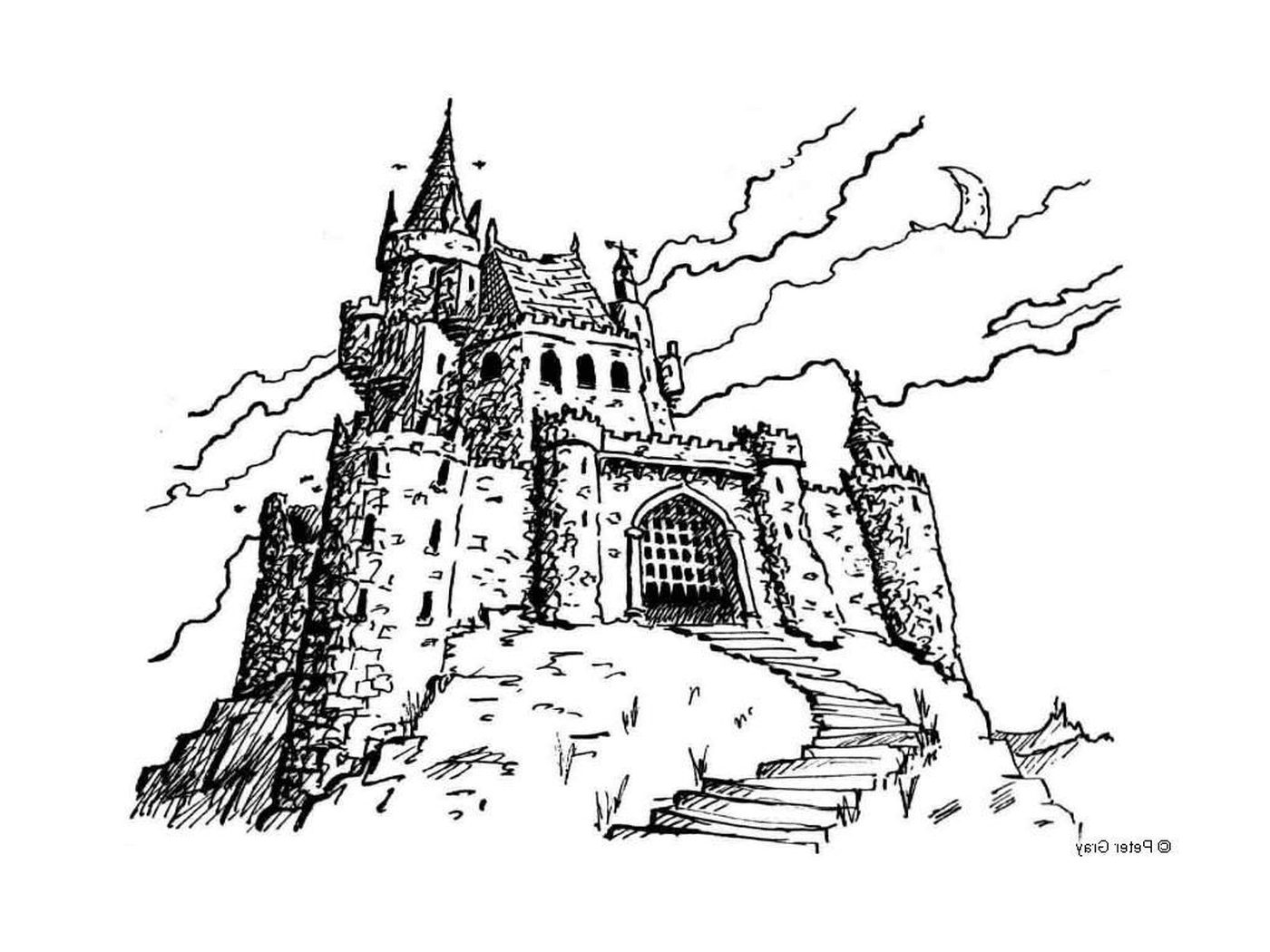  Un castello medievale disegnato da Peter Gray 
