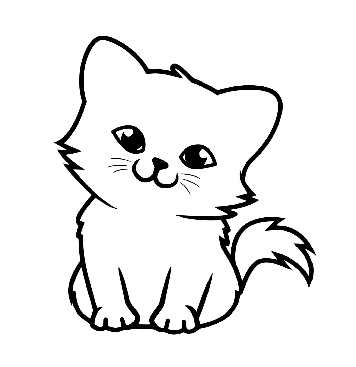  Adorabile piccolo gattino coccoloso 