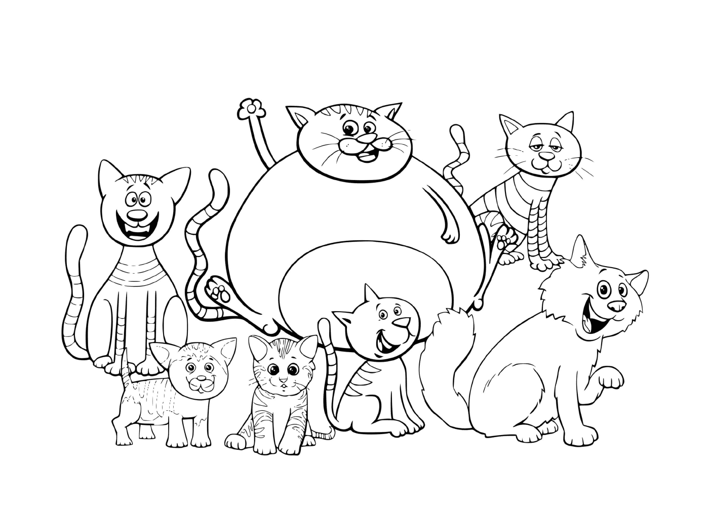  Gatos y gatitos de diferentes tamaños combinados 