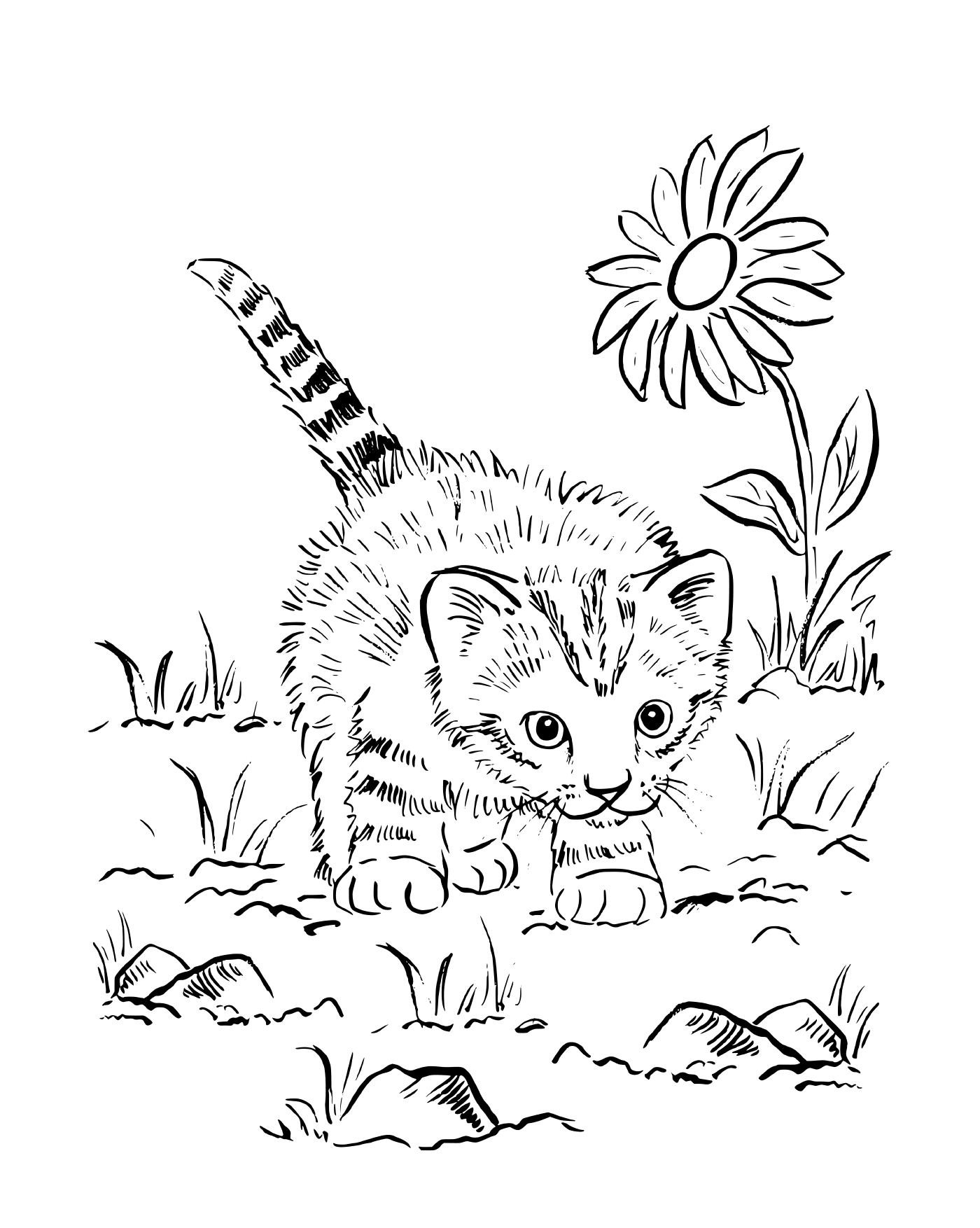  Супер милый котенок, играющий в саду 