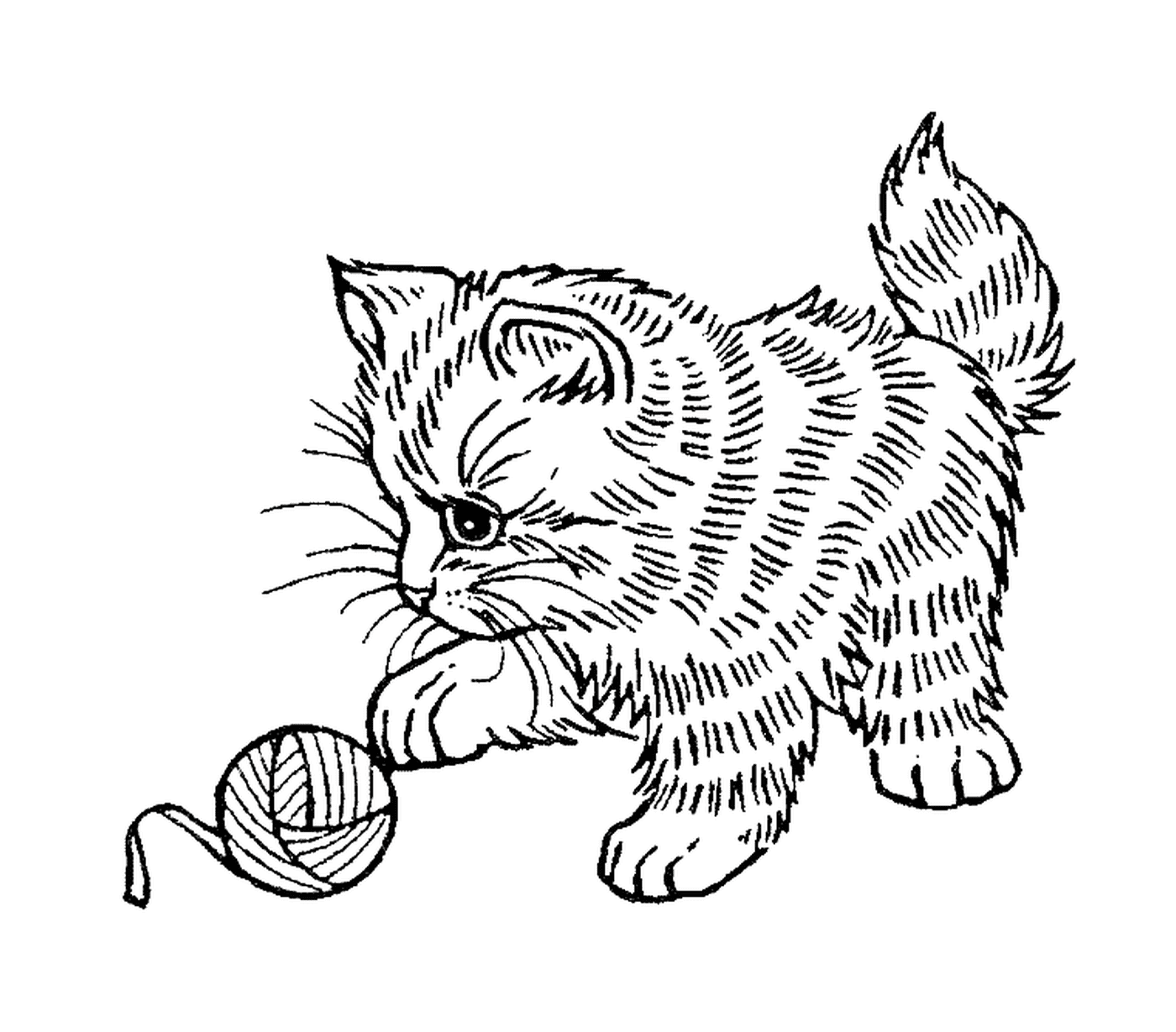  Прекрасный кошка играет с шариком для шерсти 