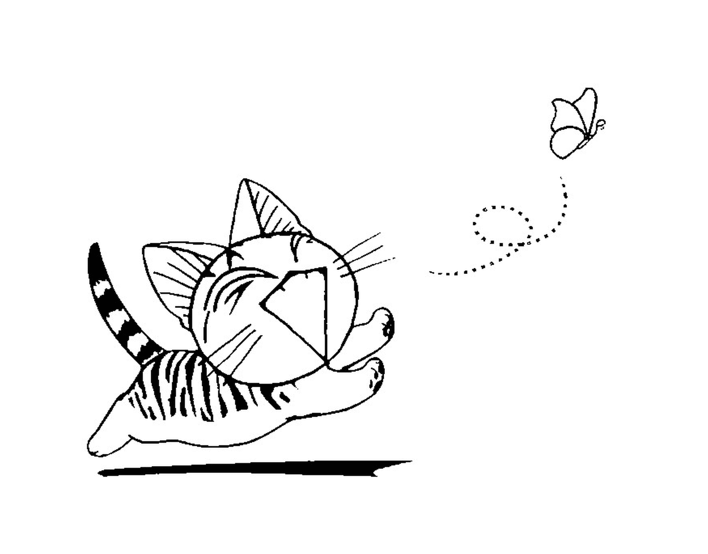  Eine chinesische Katze, die einem Schmetterling hinterherläuft 