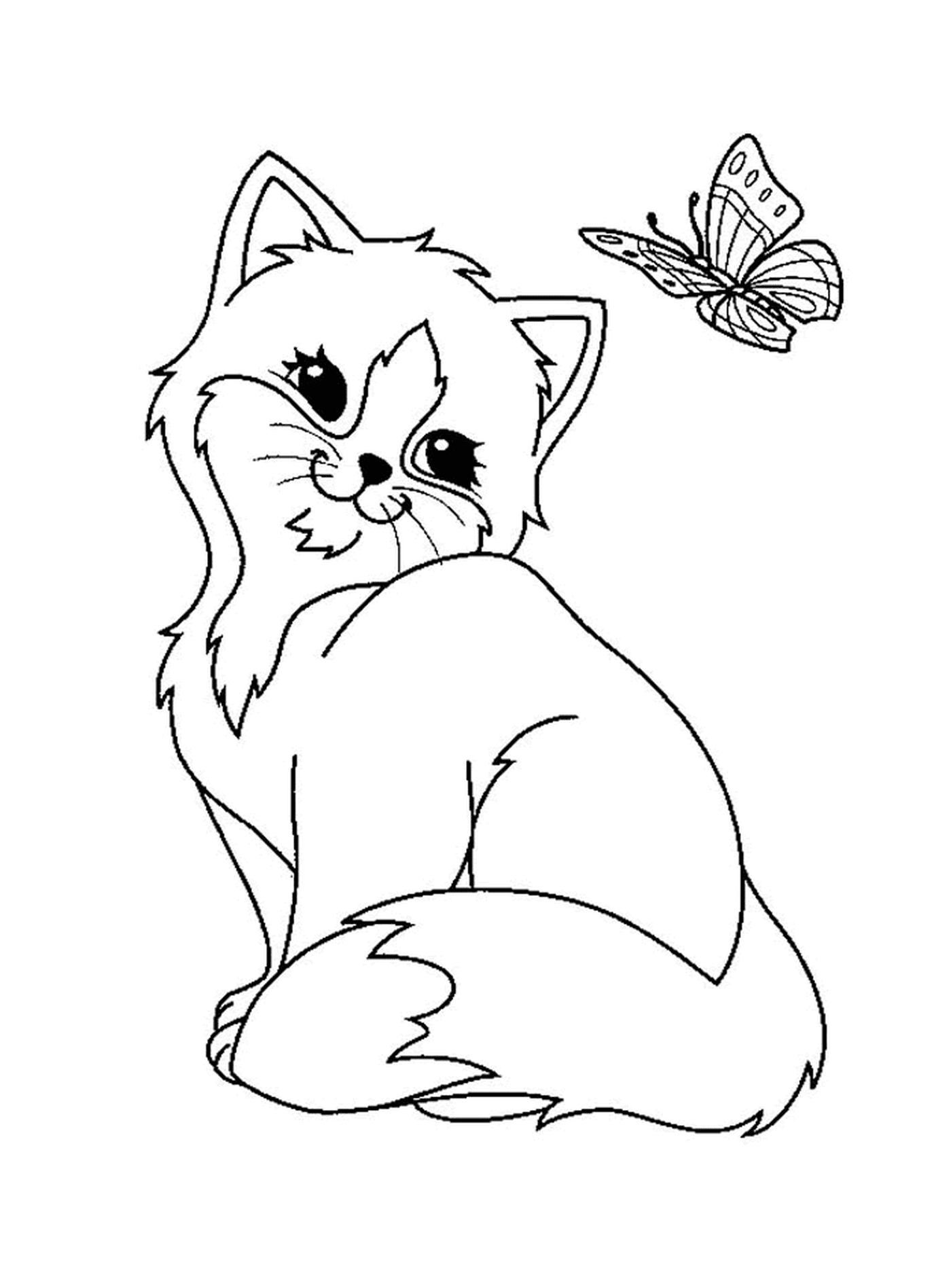  A cute butterfly cat and another cat 