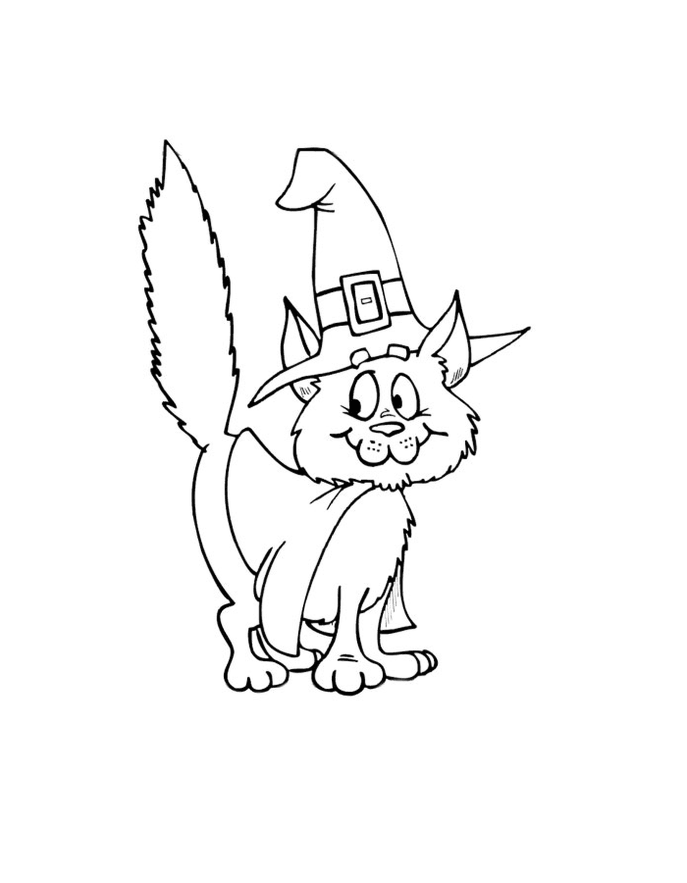  A cat for Halloween with a witch hat 