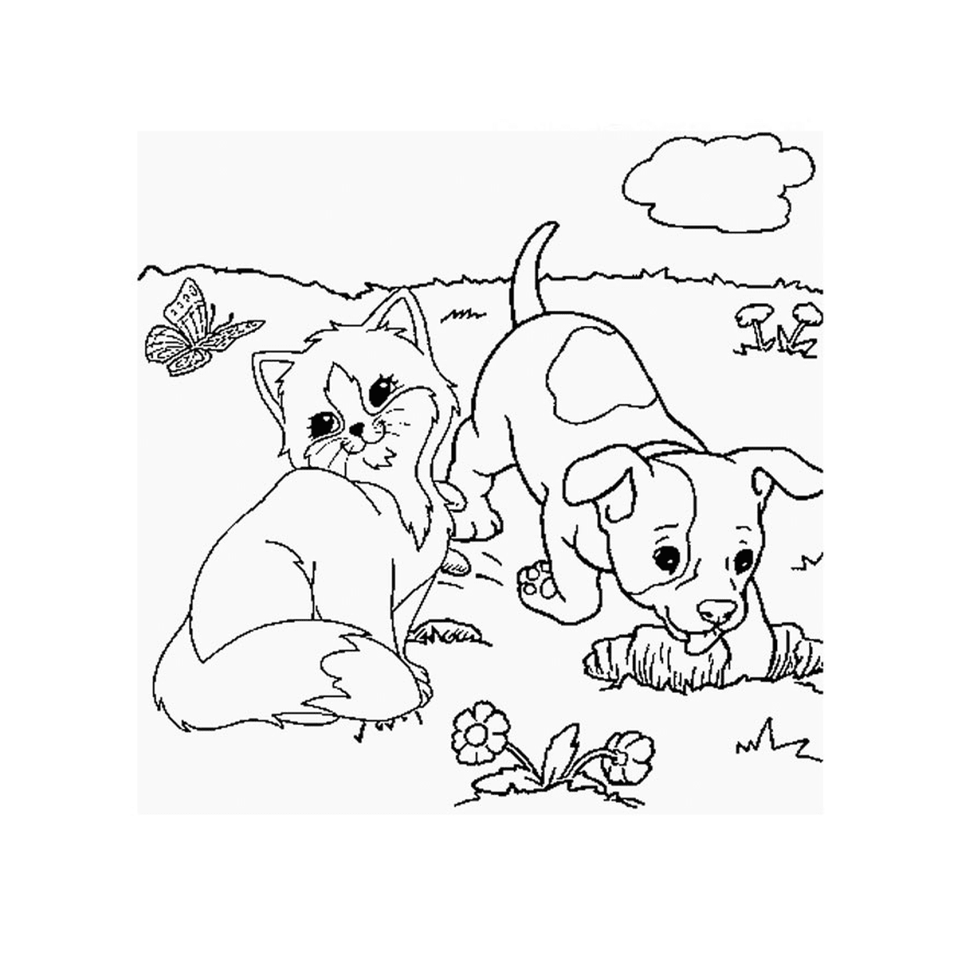  Un cachorro y un gatito juegan en la hierba 