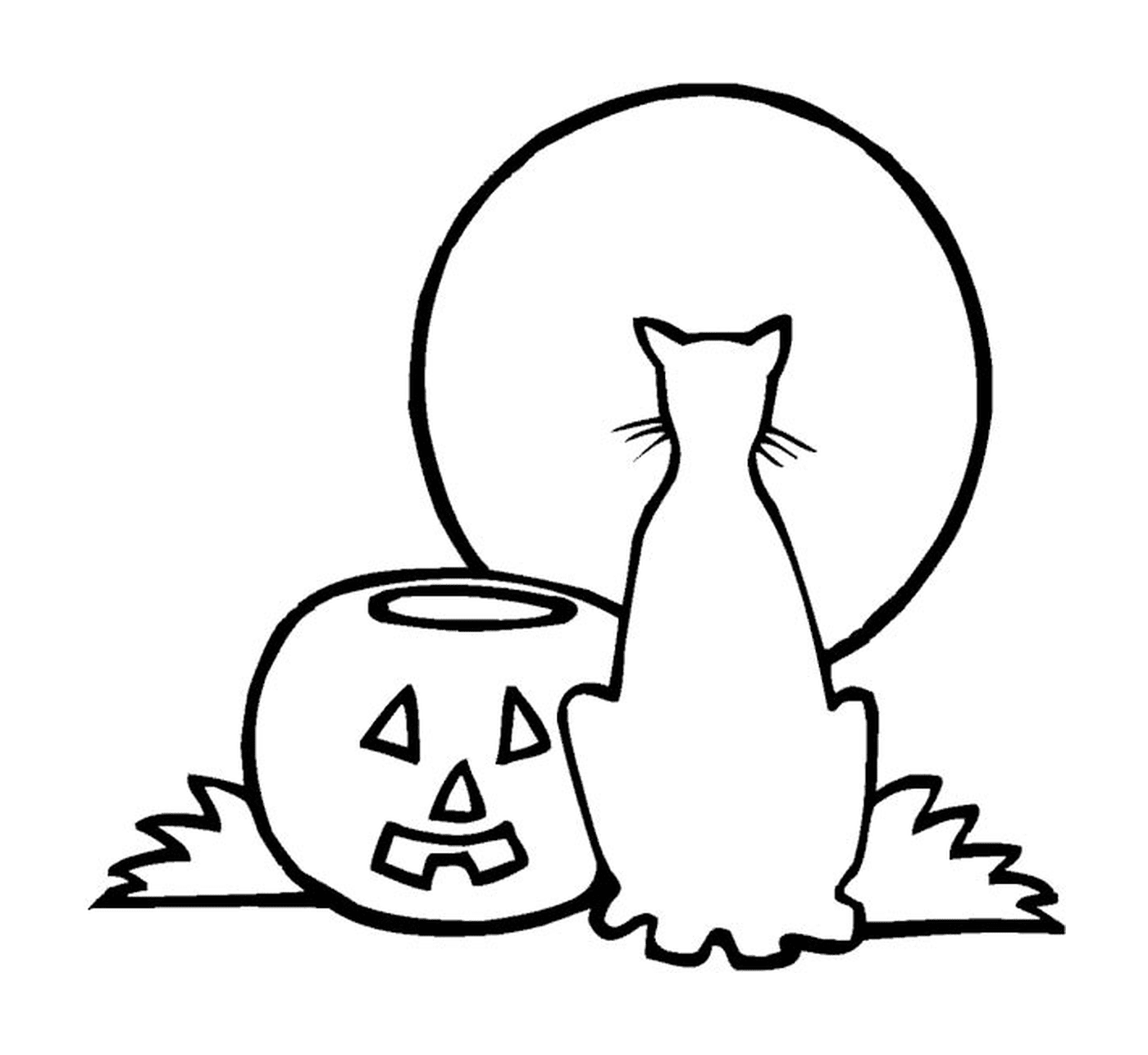  Eine Katze und ein Kürbis für Halloween 